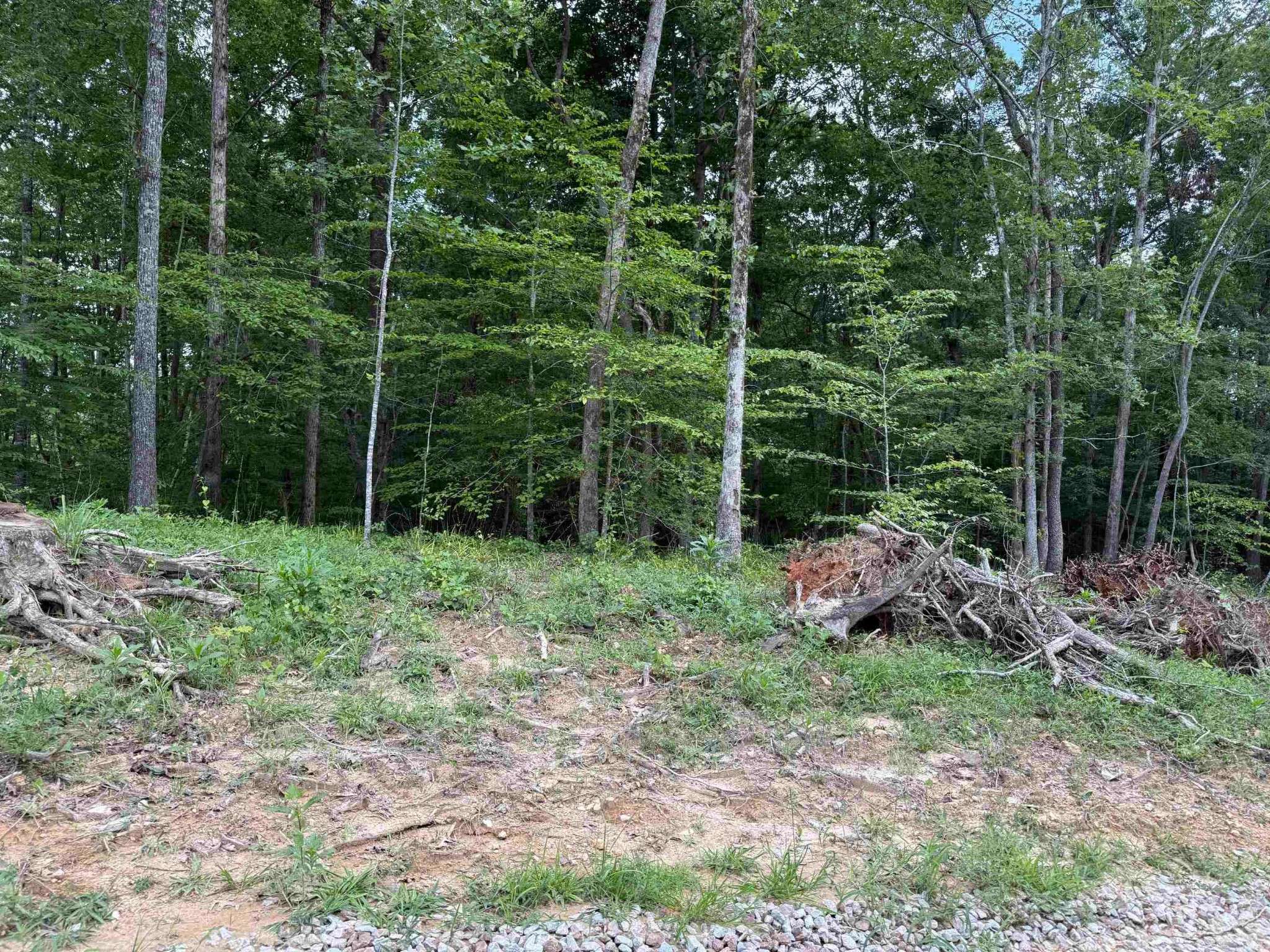 0 Hwy 69, Savannah, TN 38372