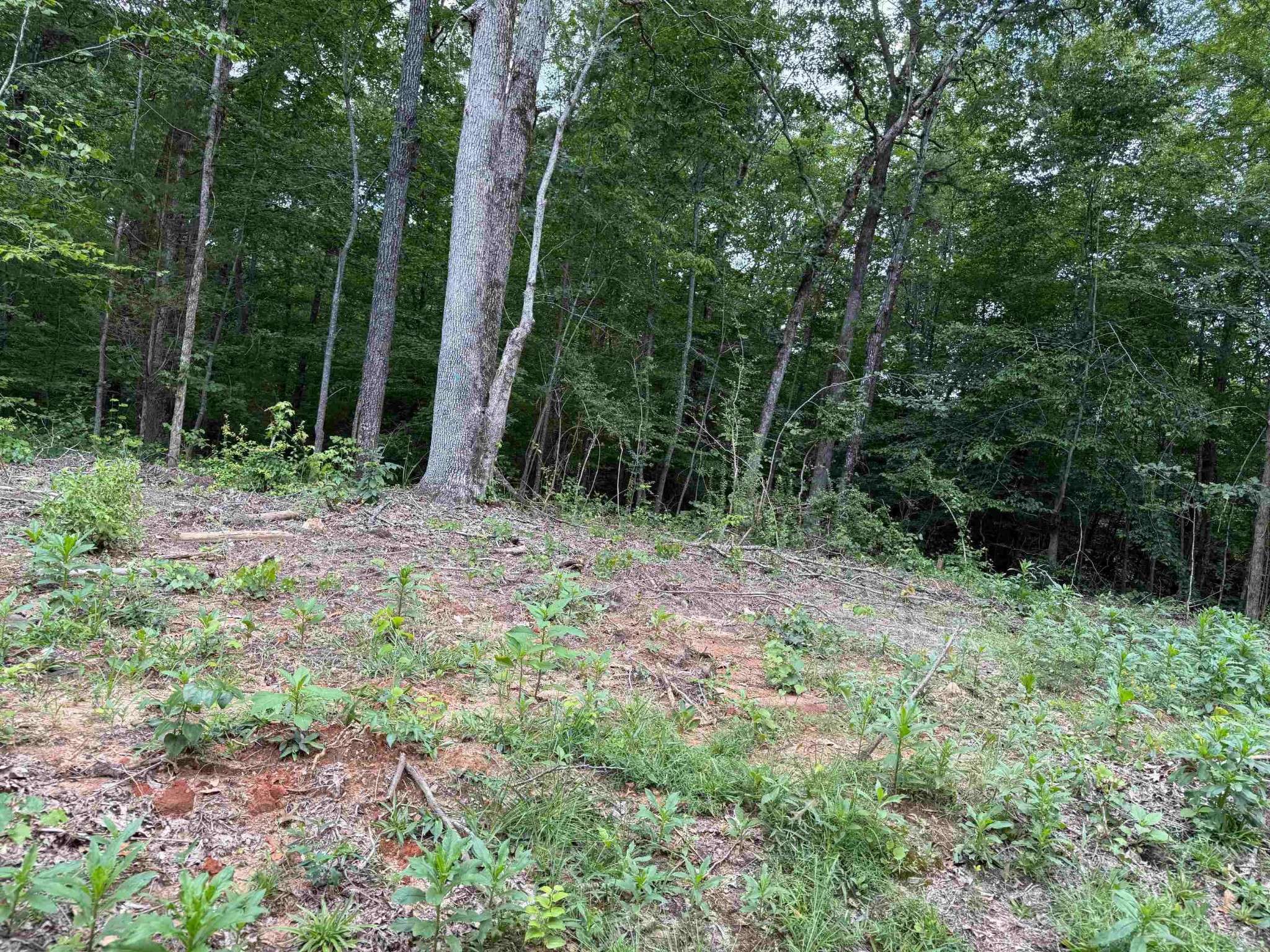 0 Hwy 69, Savannah, TN 38372
