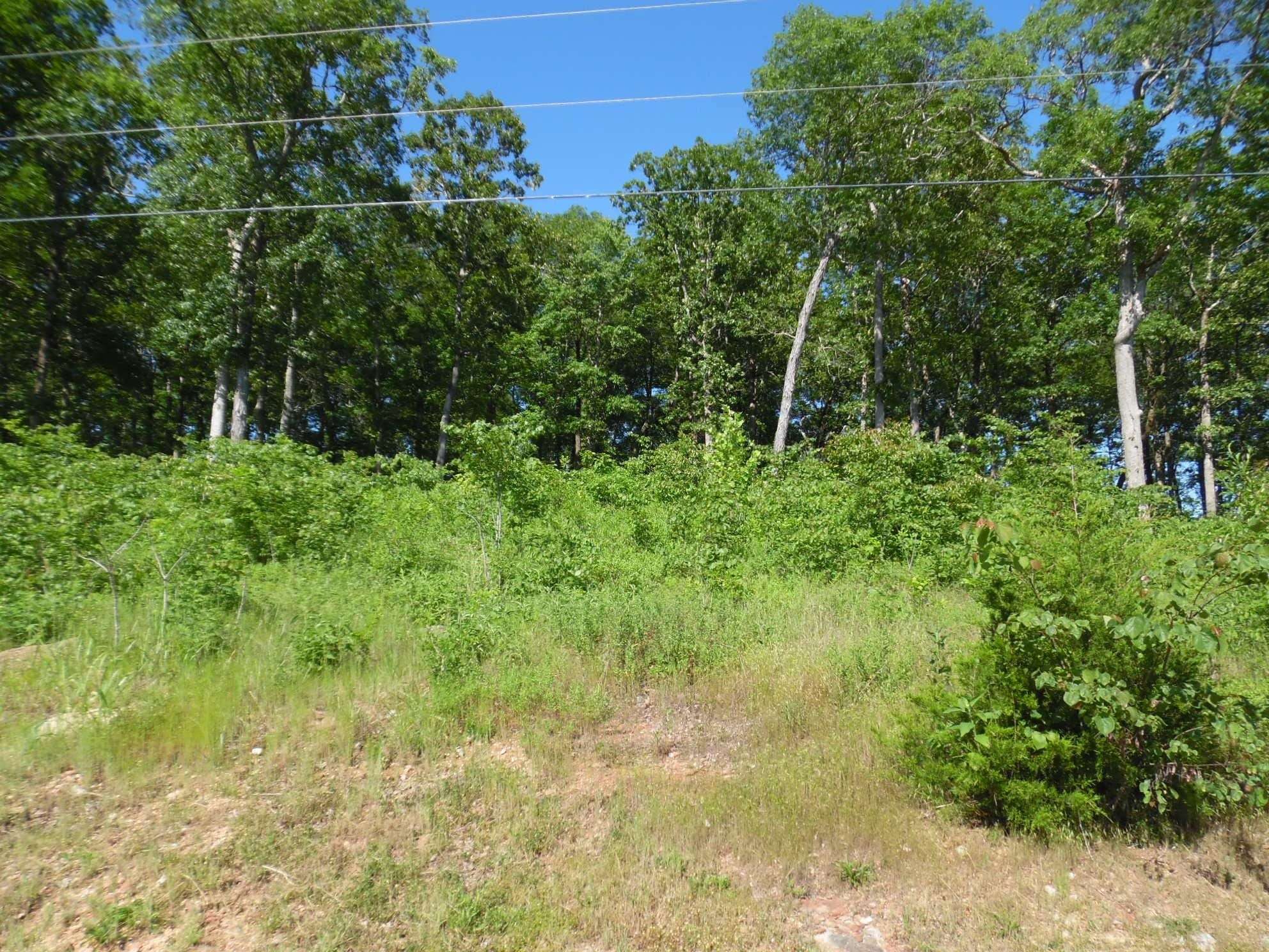 0 ADAM LOOP, Bath Springs, TN 38311