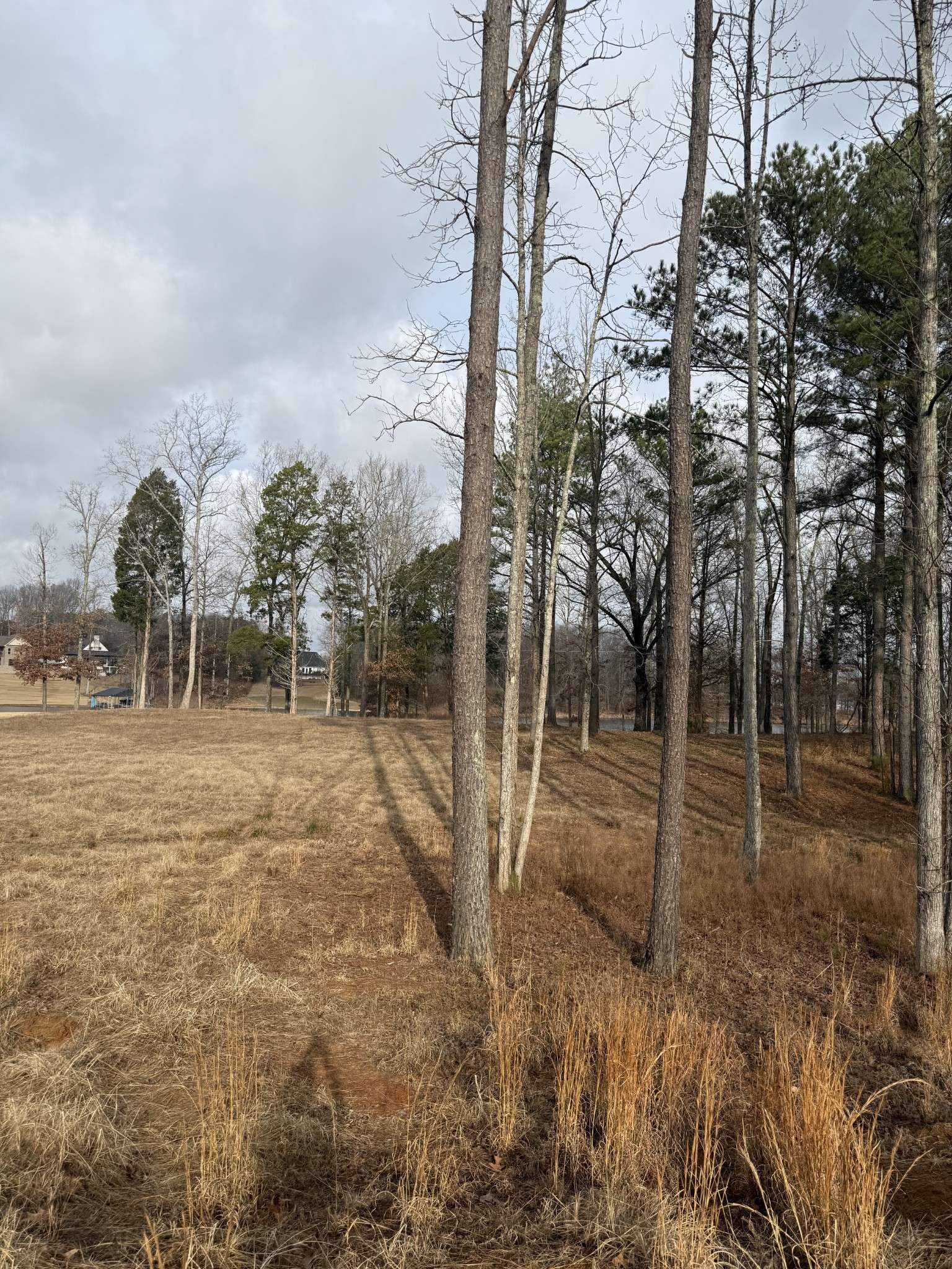 0 Stately Oak Dr, Huntingdon, TN 38344