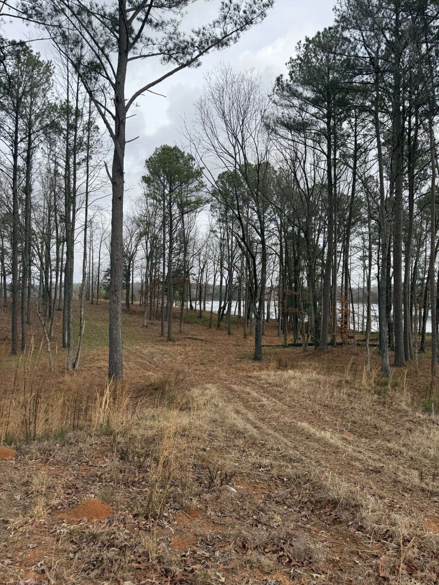 0 Stately Oak Dr, Huntingdon, TN 38344