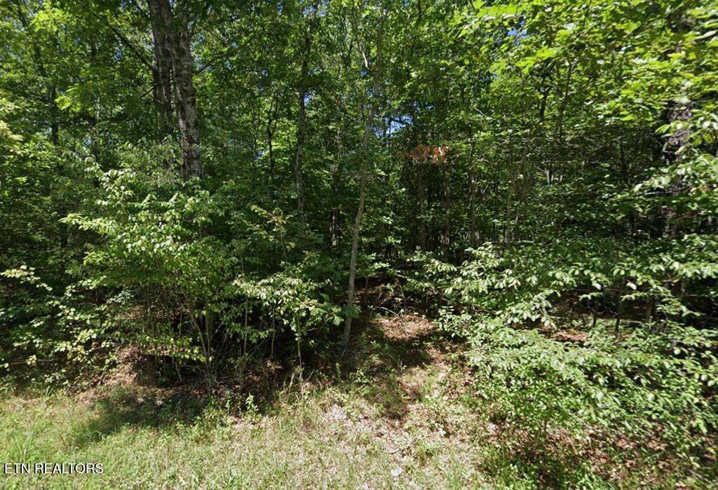 2025 Menasha Drive, Crossville, TN 38572