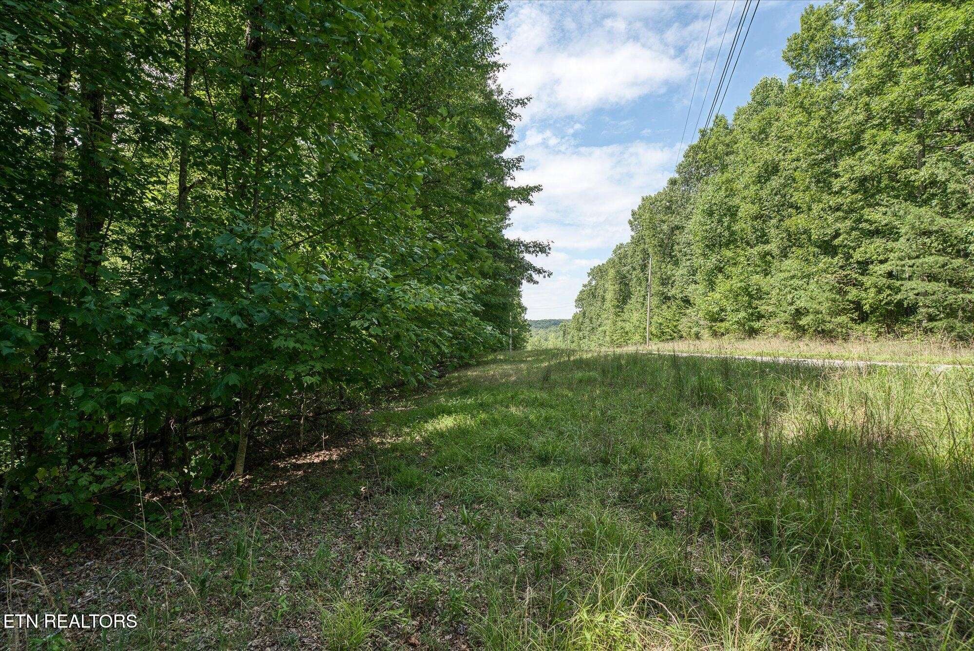 0 Creek Drive, Monterey, TN 38574