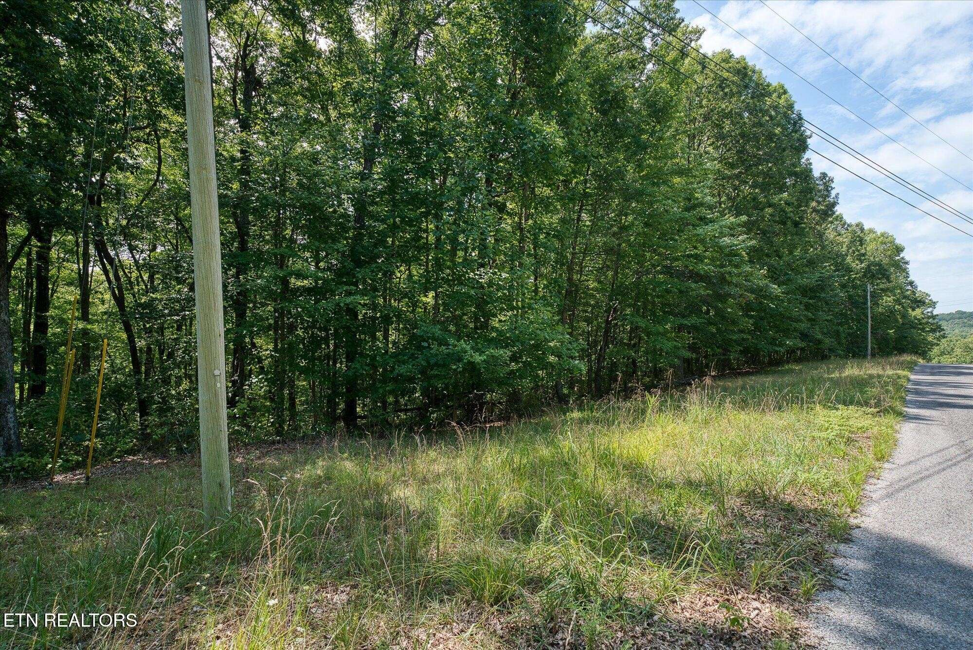 0 Creek Drive, Monterey, TN 38574