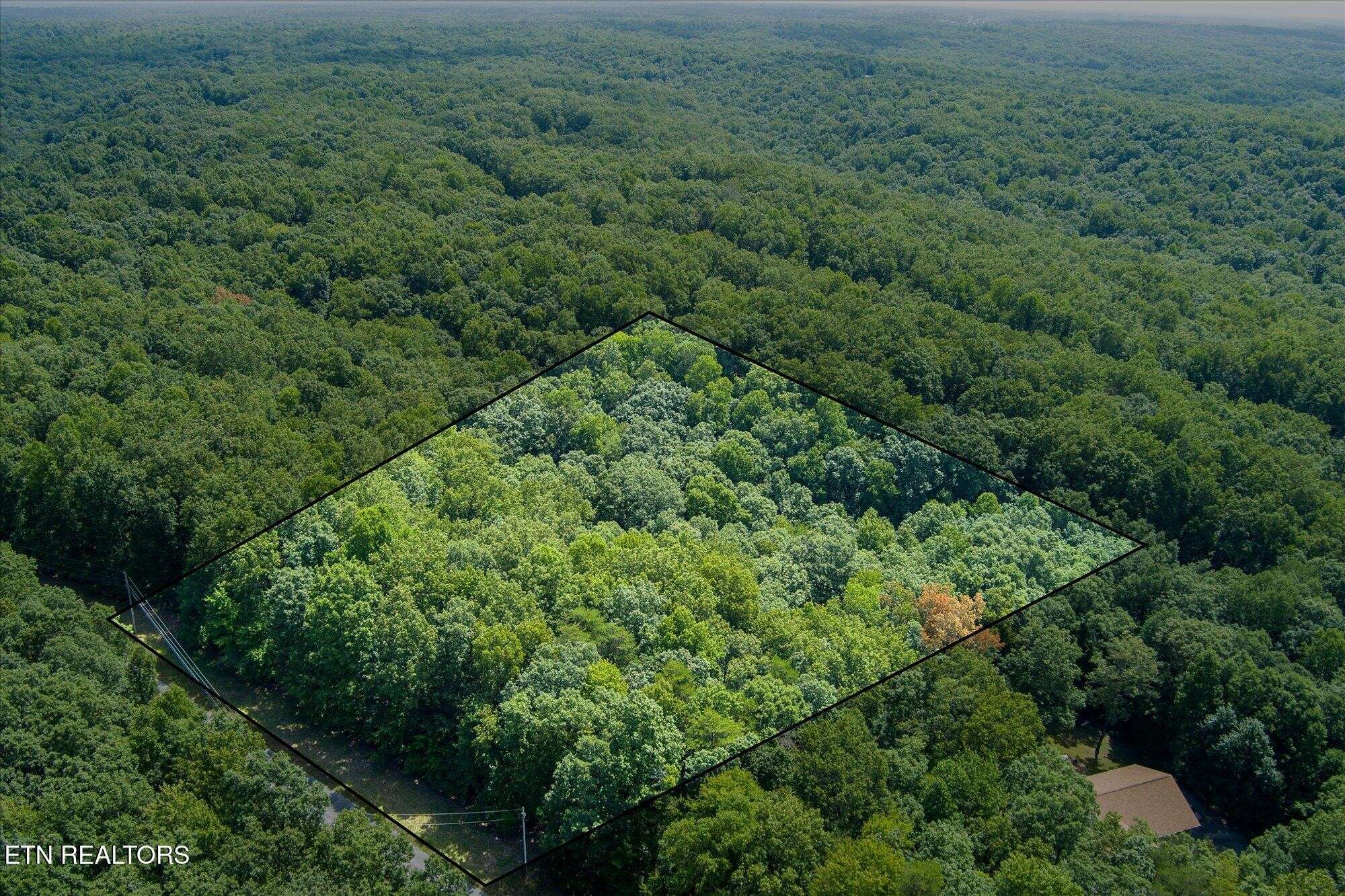 0 Creek Drive, Monterey, TN 38574