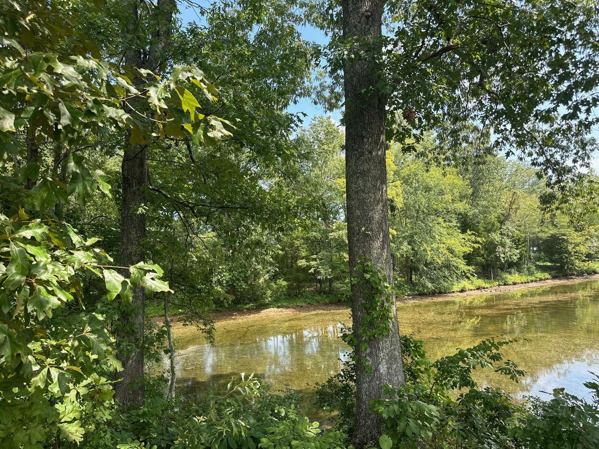 0 Edgewater Way, Jasper, TN 37347
