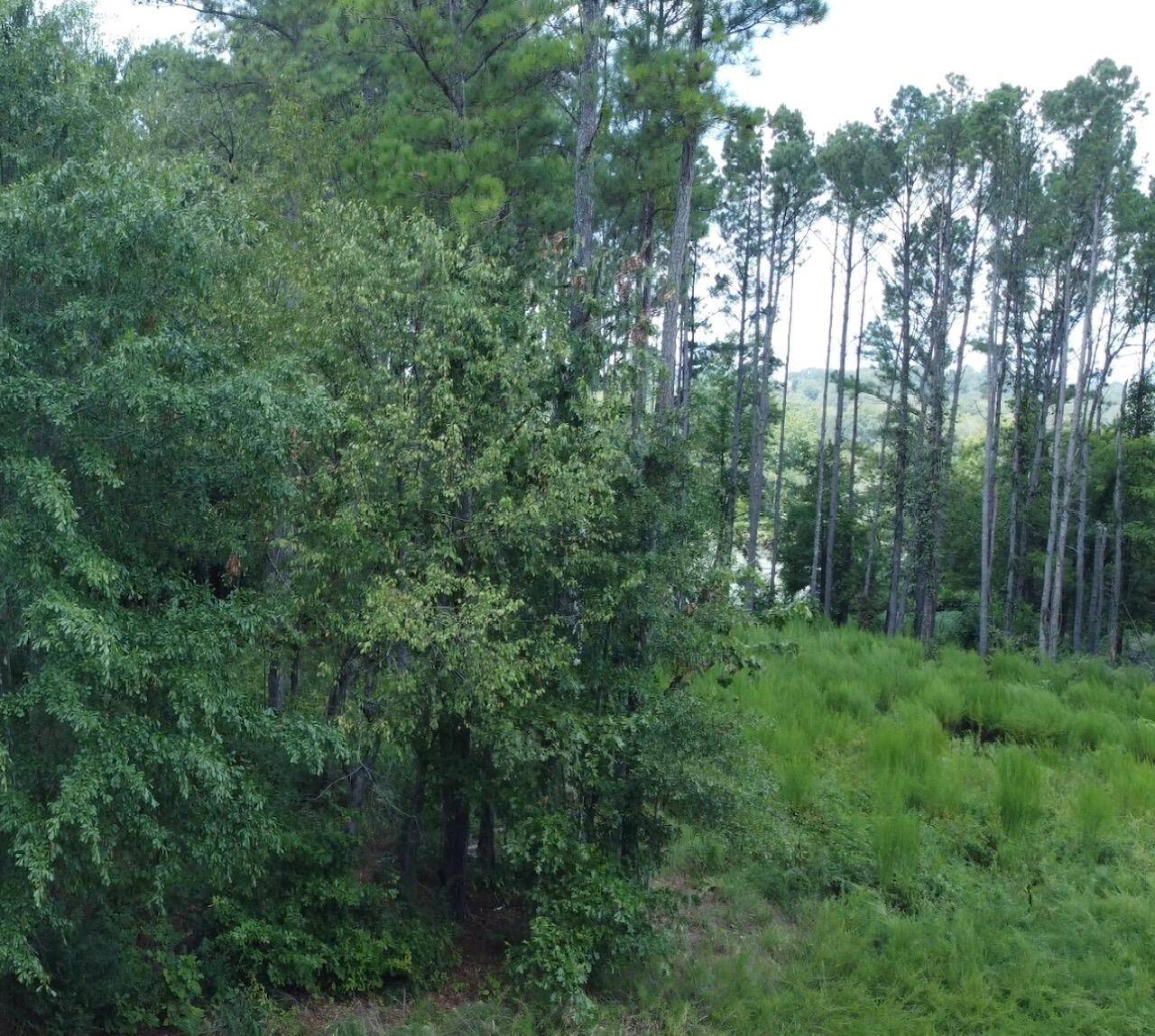 0 Castaway Lane, Jasper, TN 37347