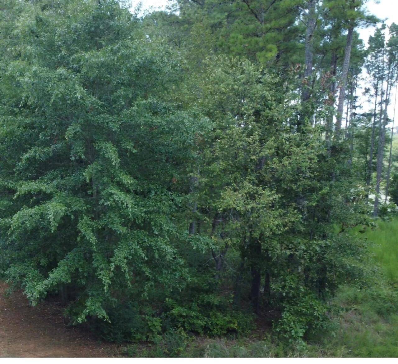 0 Castaway Lane, Jasper, TN 37347