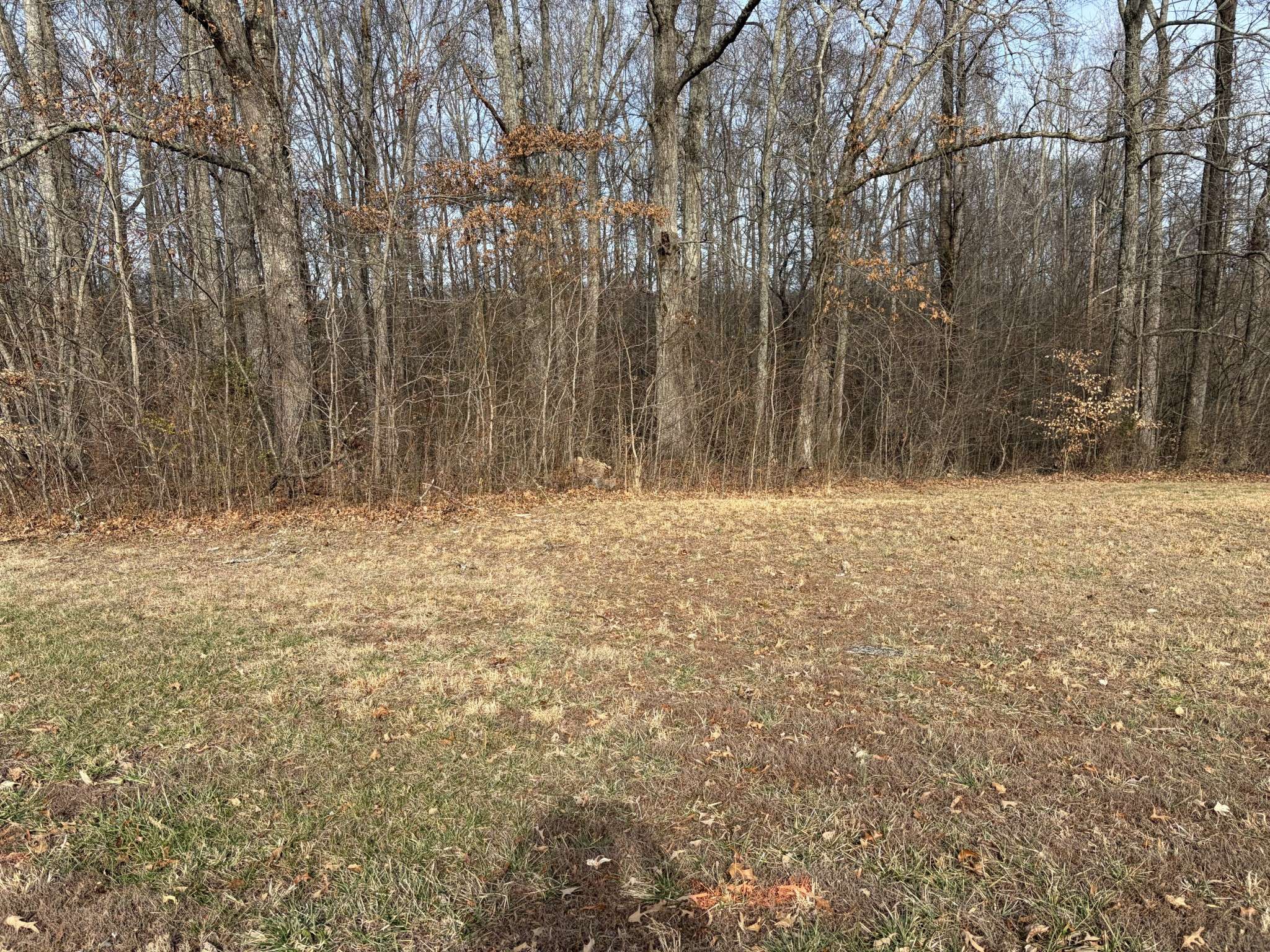 0 Hunters Landing Drive, Manchester, TN 37355