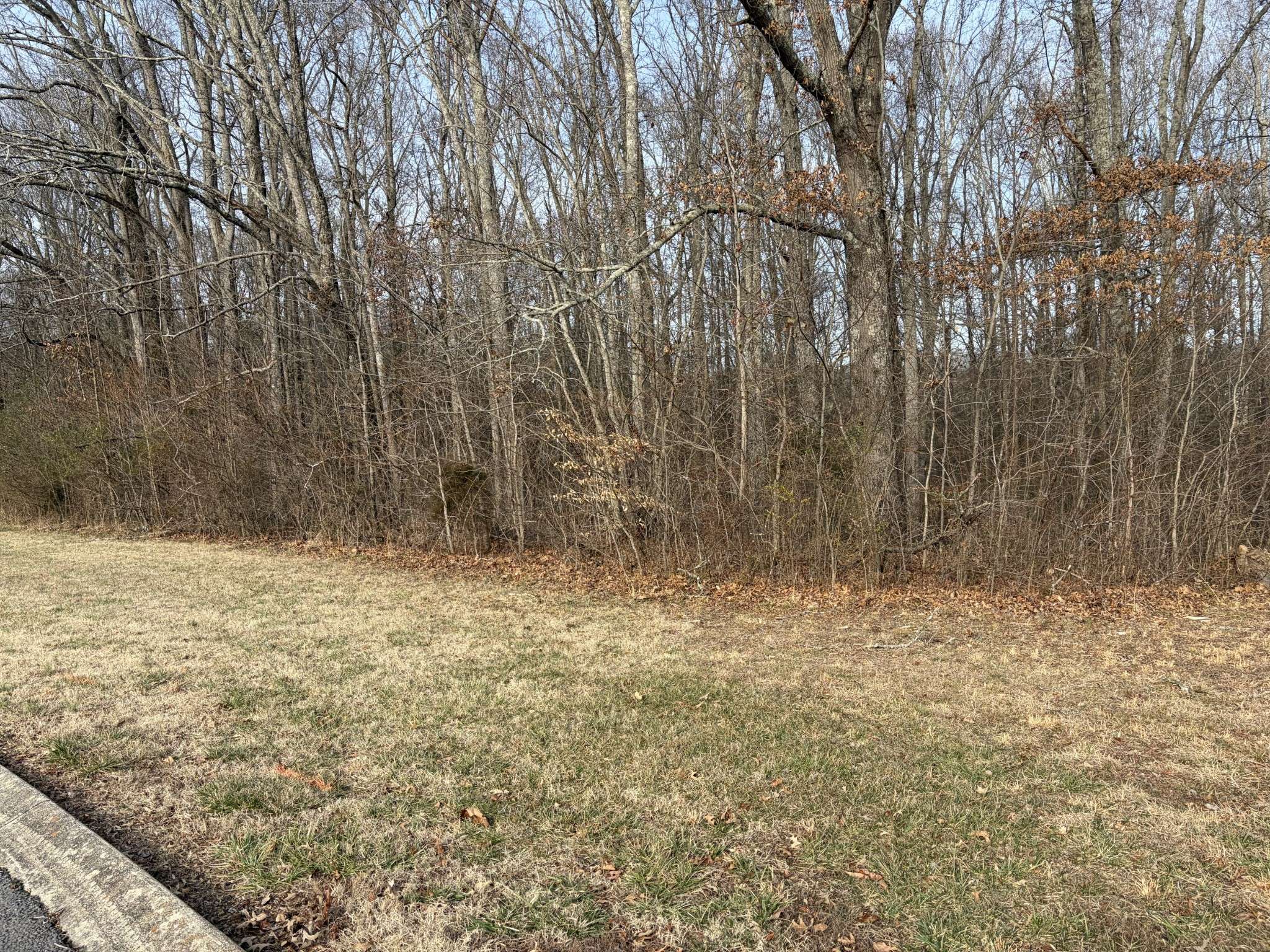 0 Hunters Landing Drive, Manchester, TN 37355