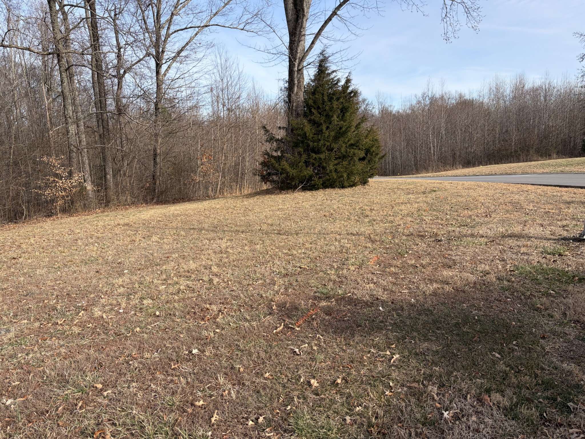 0 Hunters Landing Drive, Manchester, TN 37355