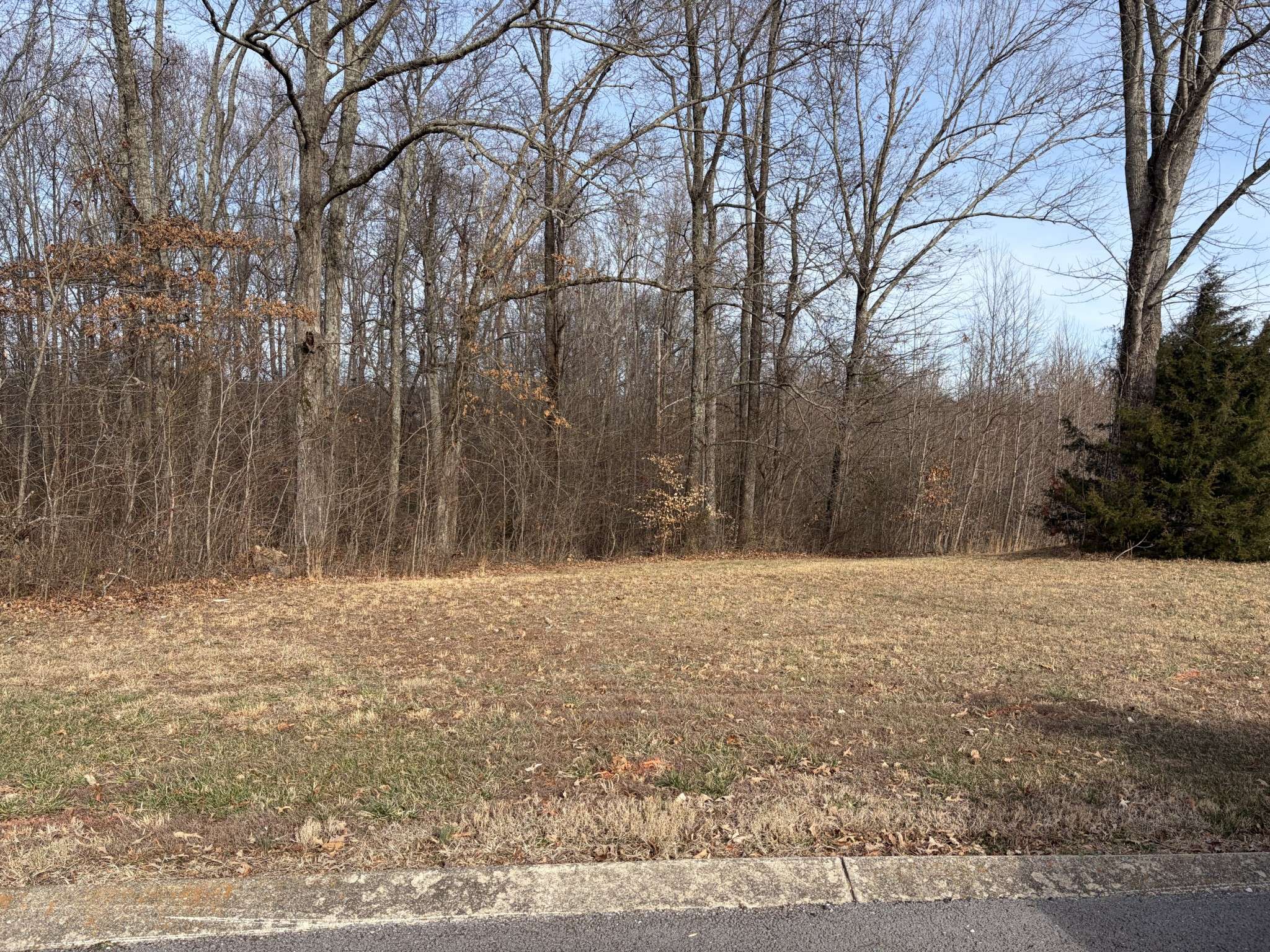 0 Hunters Landing Drive, Manchester, TN 37355