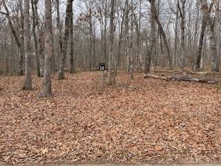 0 Cooleys Rift Blvd, Monteagle, TN 37356
