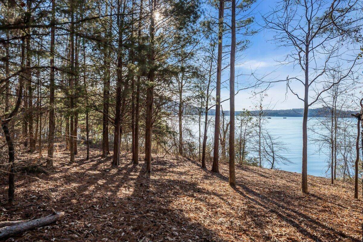 0 Castaway Lane, Jasper, TN 37347