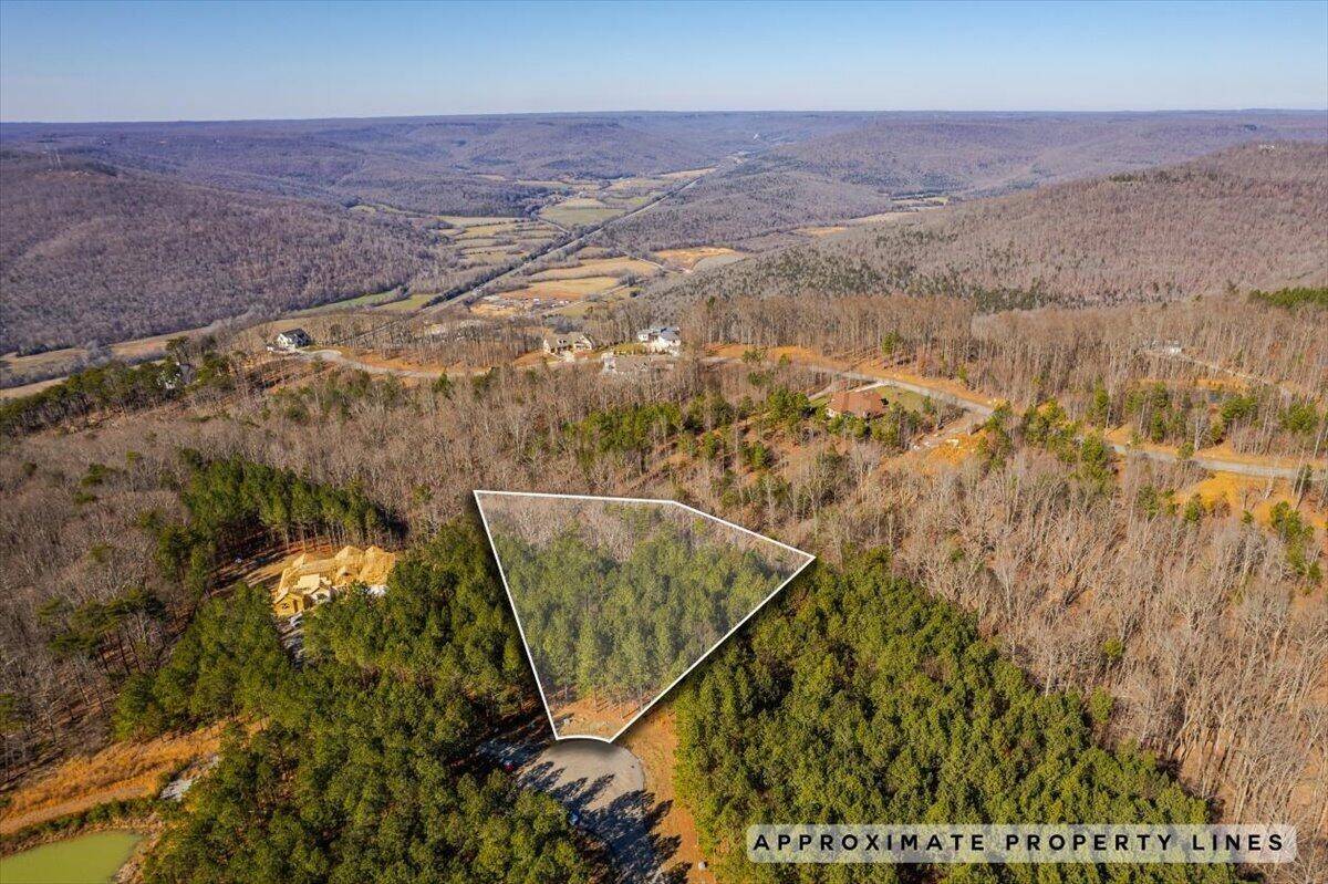 0 Bootleg Dri, Jasper, TN 37347