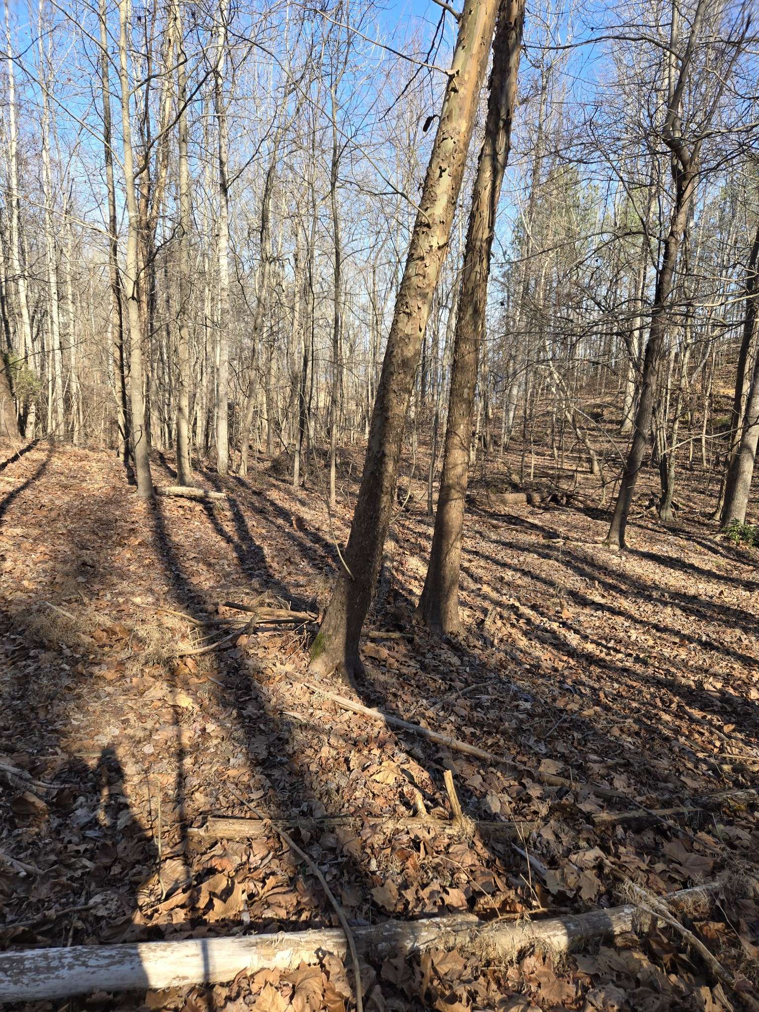 0 River Oaks Drive, Big Sandy, TN 38221