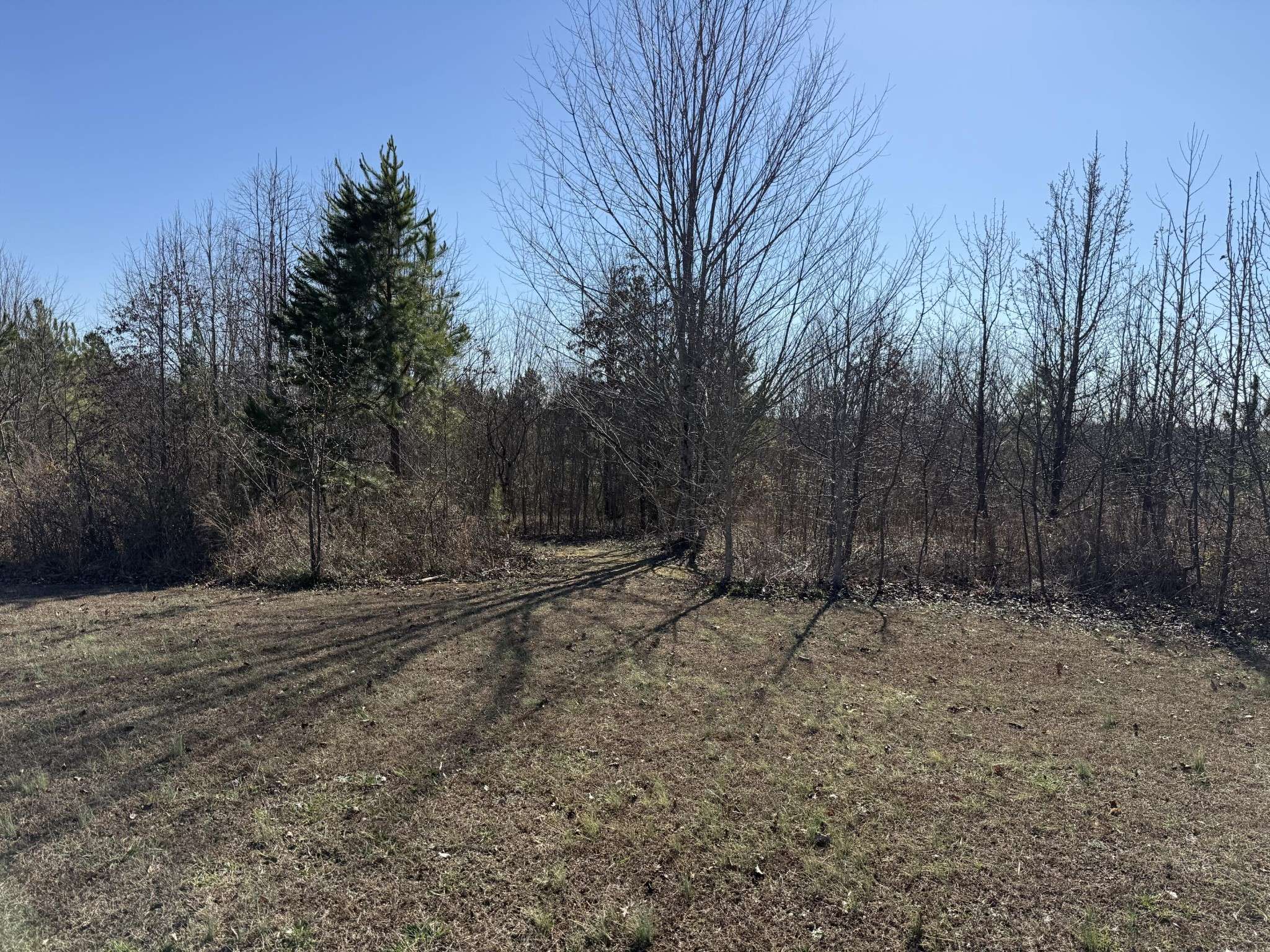 0 Castle Hill Dr, Bryant, AL 35958