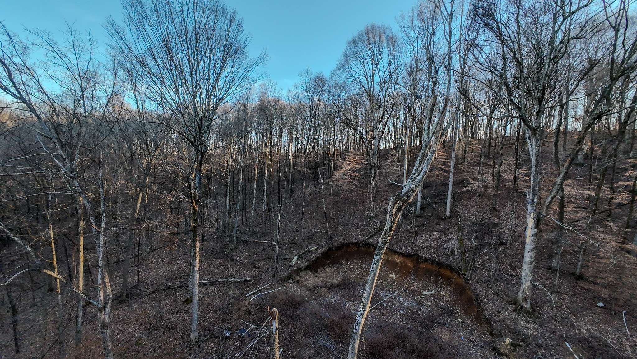 1843D Garrison Branch Rd, Cottontown, TN 37048