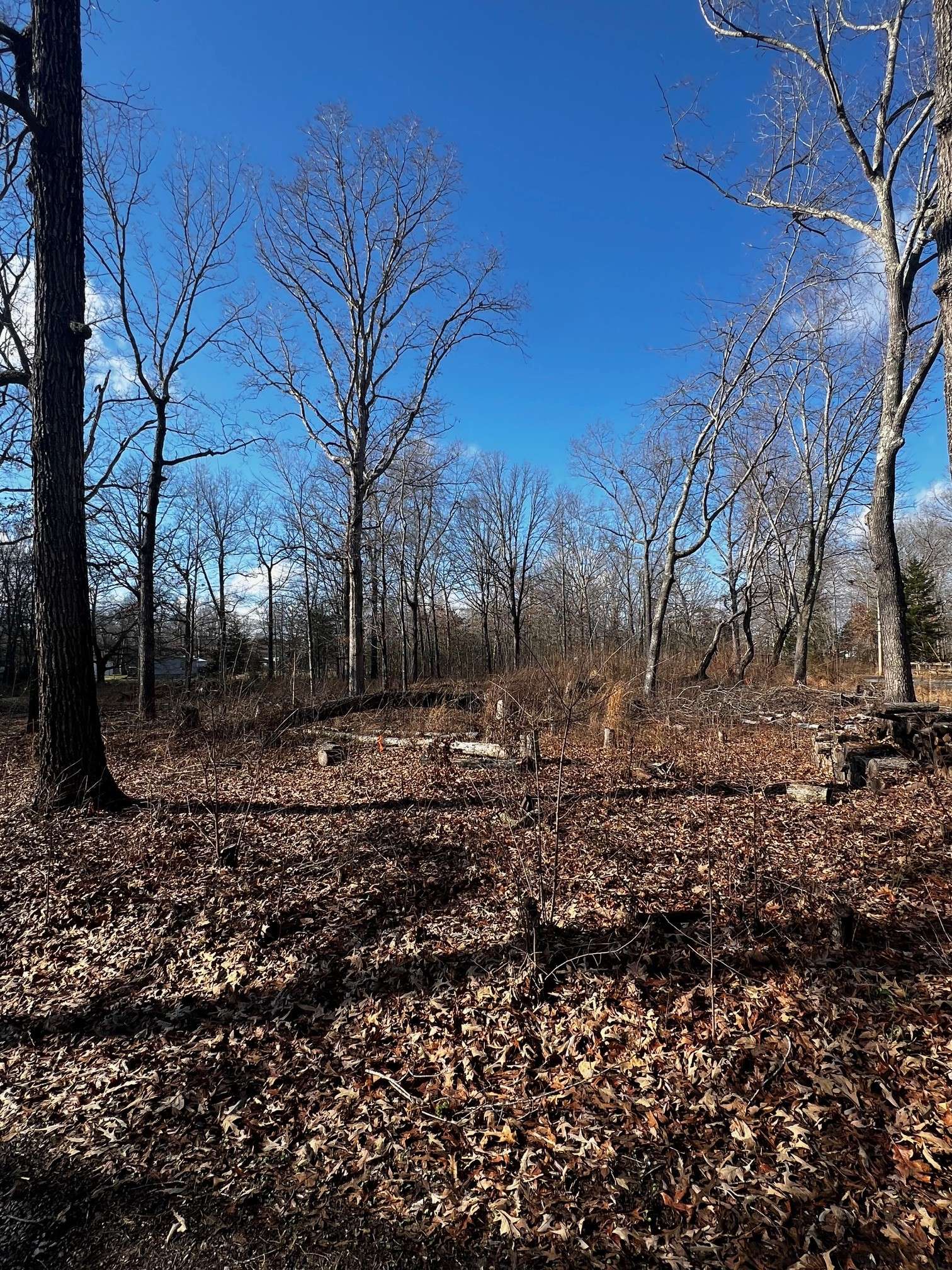 0 Bull Run, Beechgrove, TN 37018