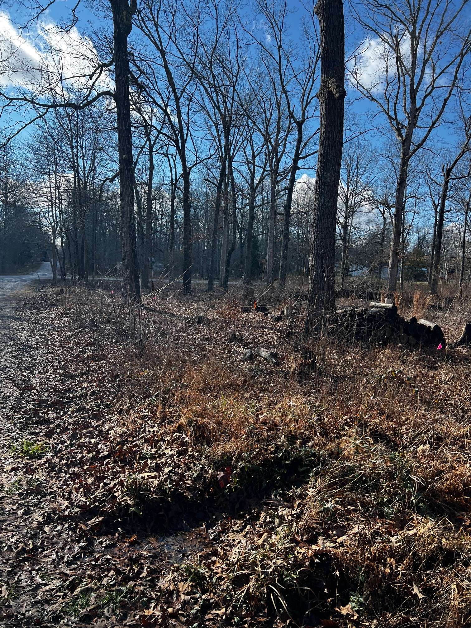 0 Bull Run, Beechgrove, TN 37018