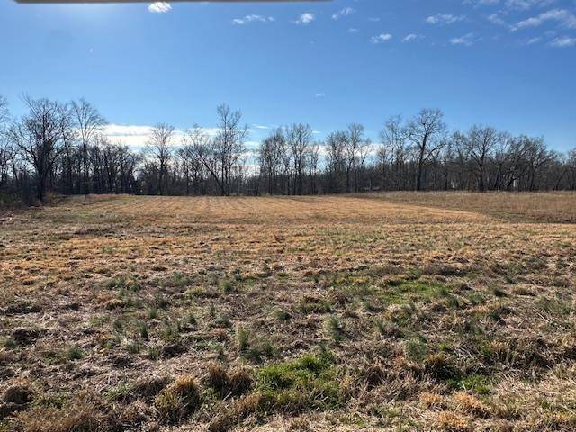 136 RIVER RUN ESTATES/CRAVENS RD, Savannah, TN 38372