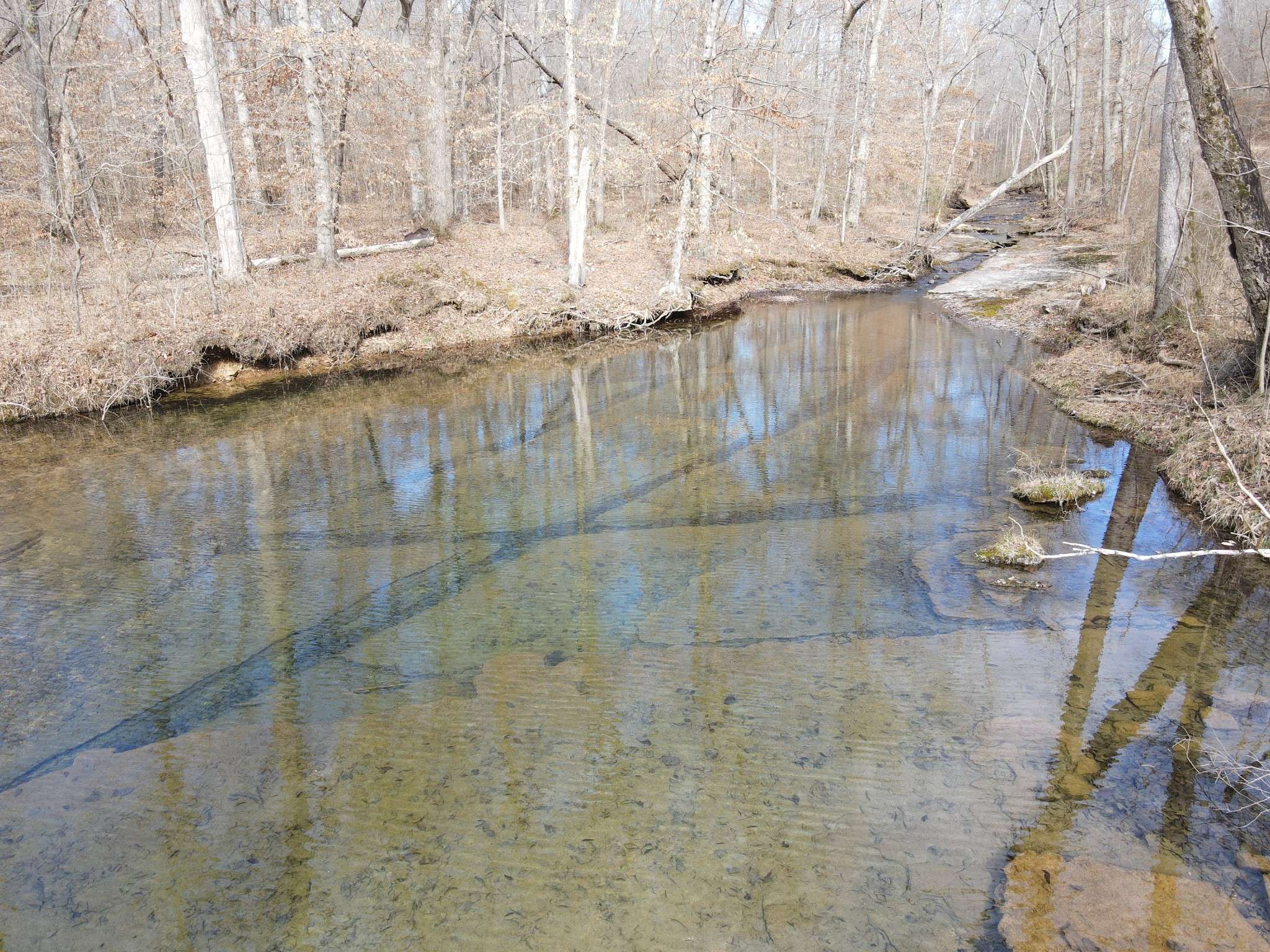0 North Fork, Stewart, TN 37175