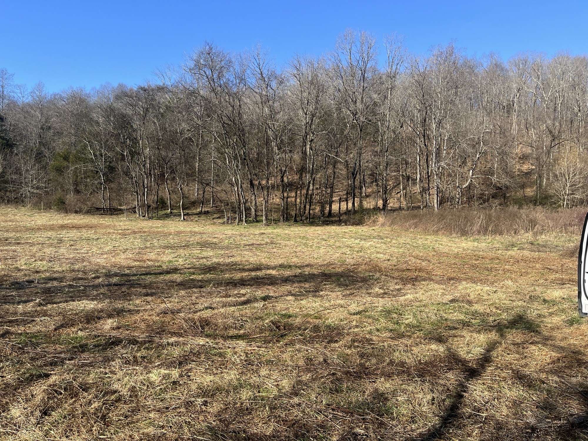 0 Cathcart Rd, Frankewing, TN 38459