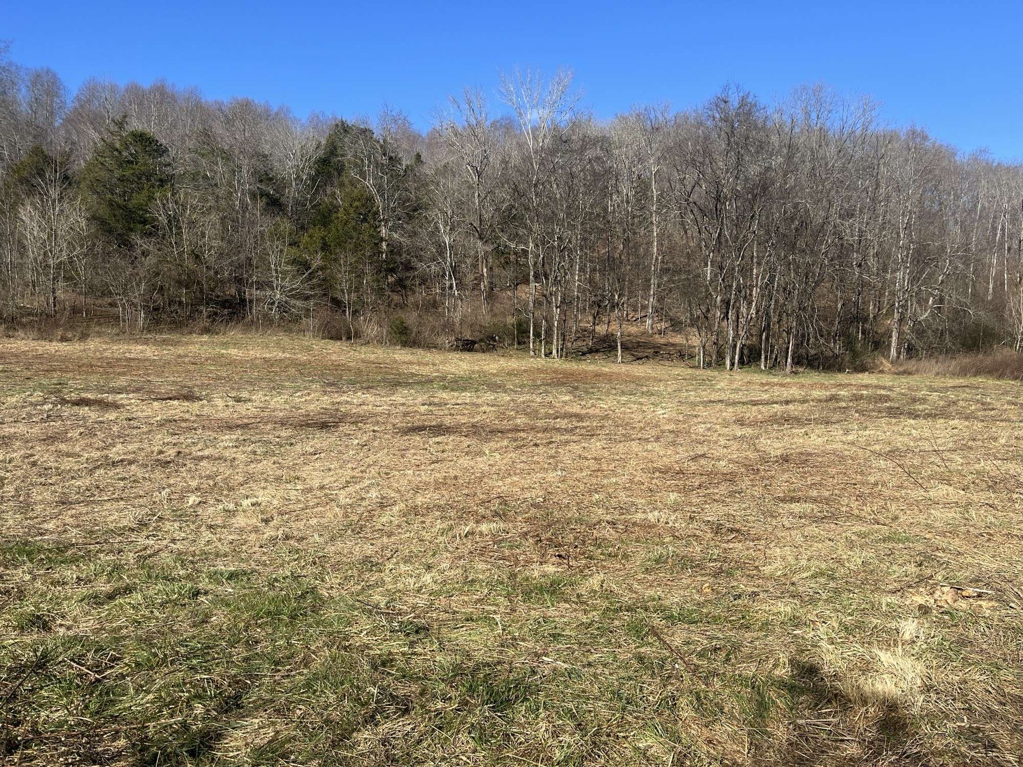 0 Cathcart Rd, Frankewing, TN 38459
