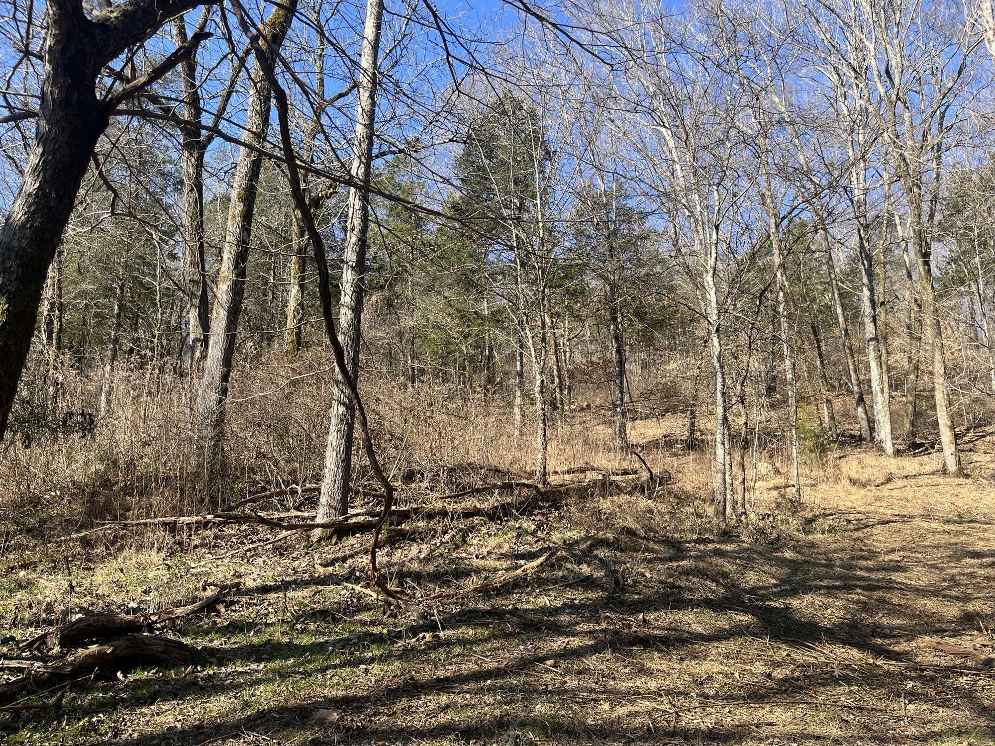 0 Cathcart Rd, Frankewing, TN 38459