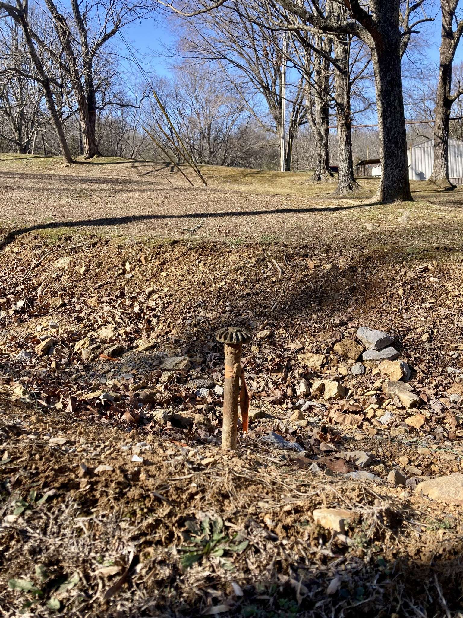 3180 76 Highway, Portland, TN 37148