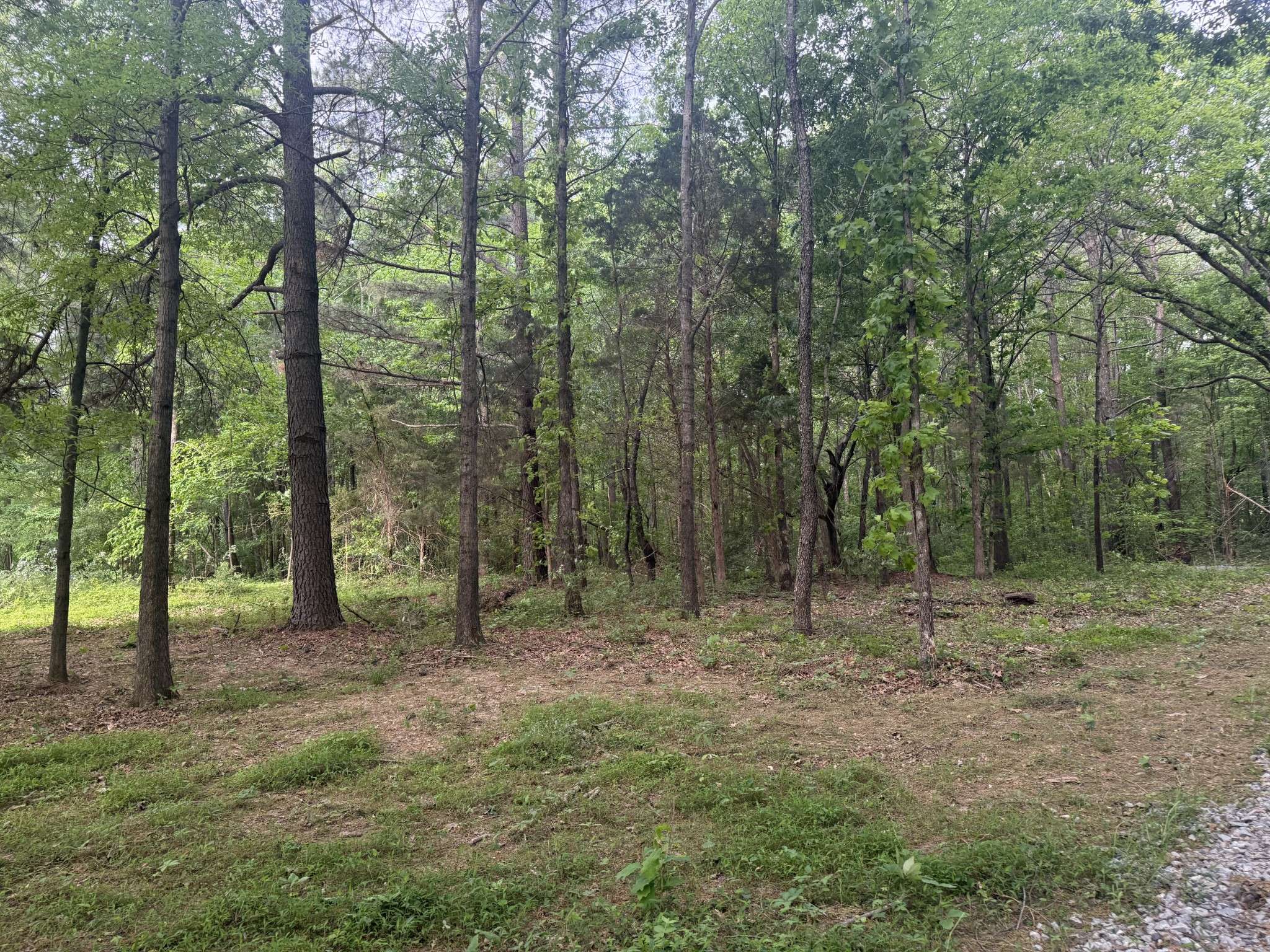 322 Kaiser Rd, Dickson, TN 37055