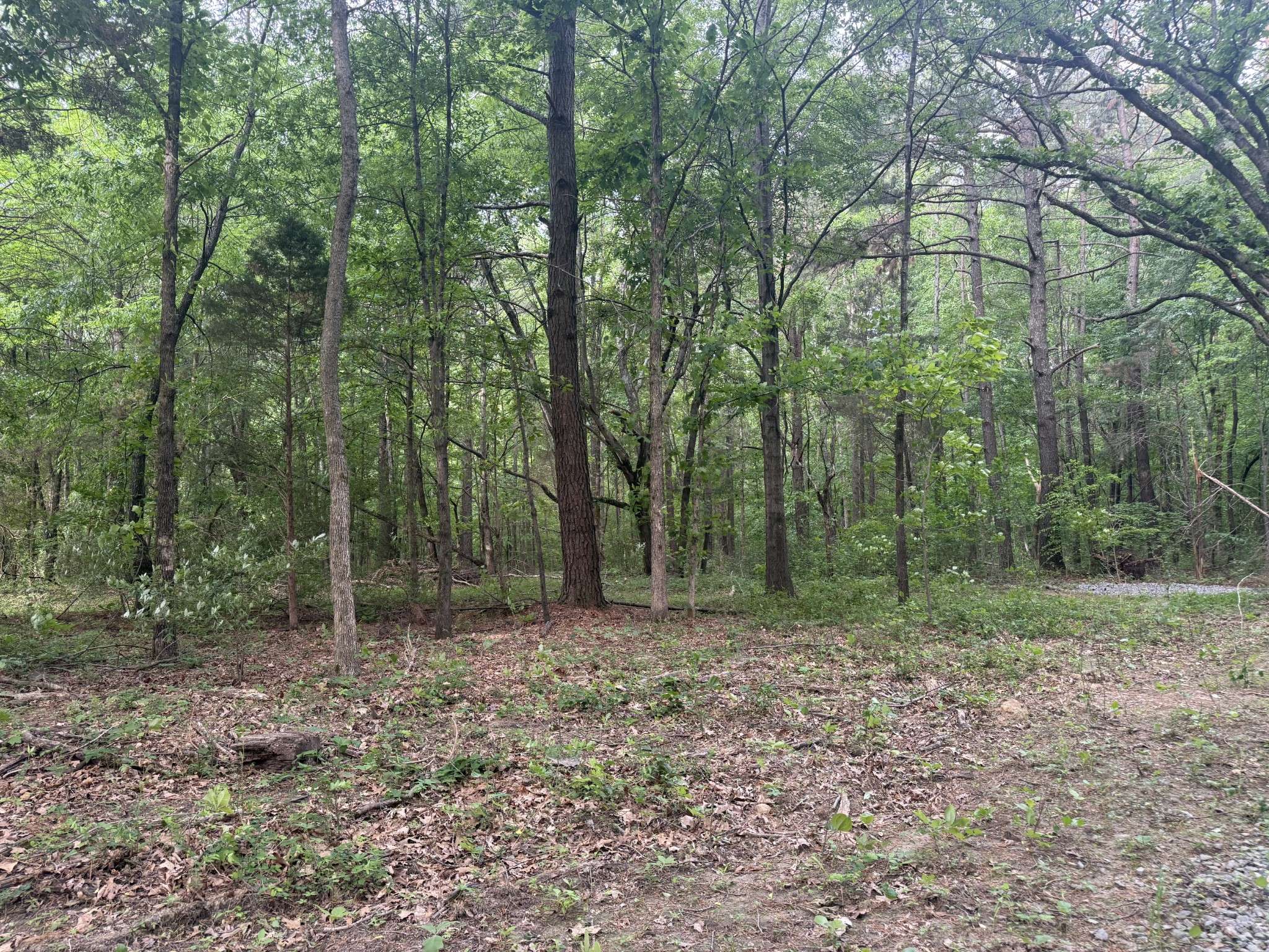 322 Kaiser Rd, Dickson, TN 37055