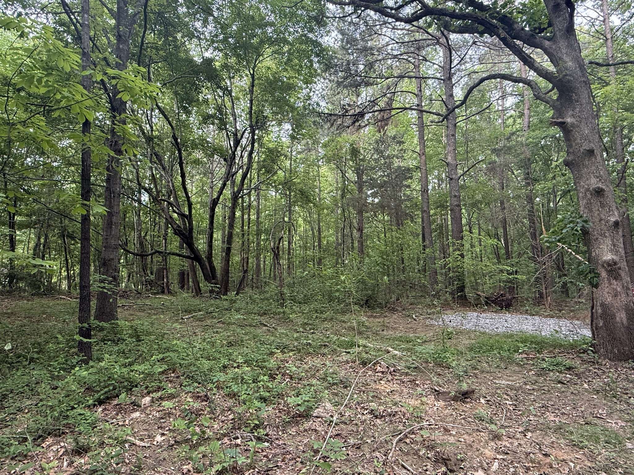 322 Kaiser Rd, Dickson, TN 37055