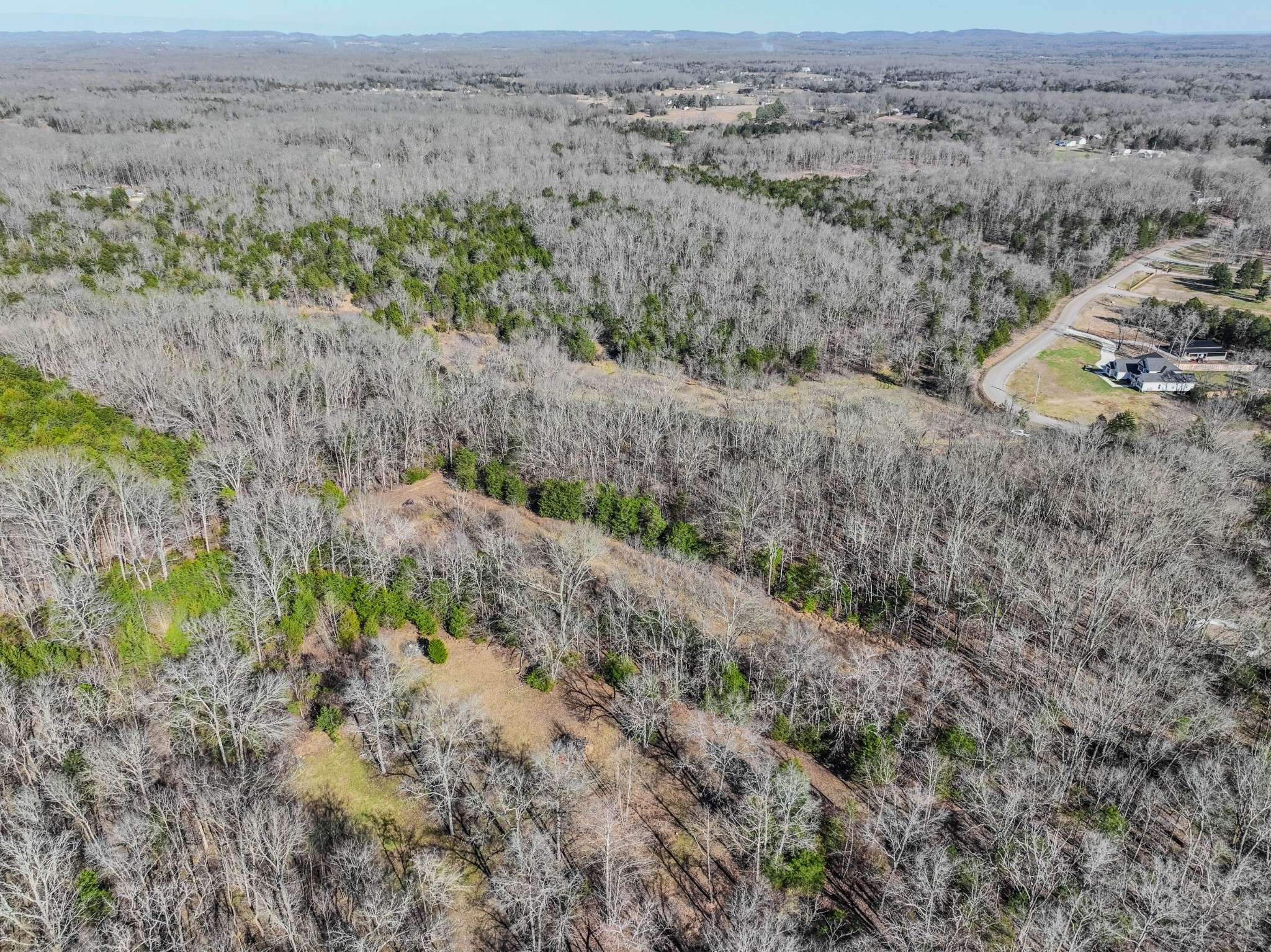 0 Lasea Rd, Spring Hill, TN 37174