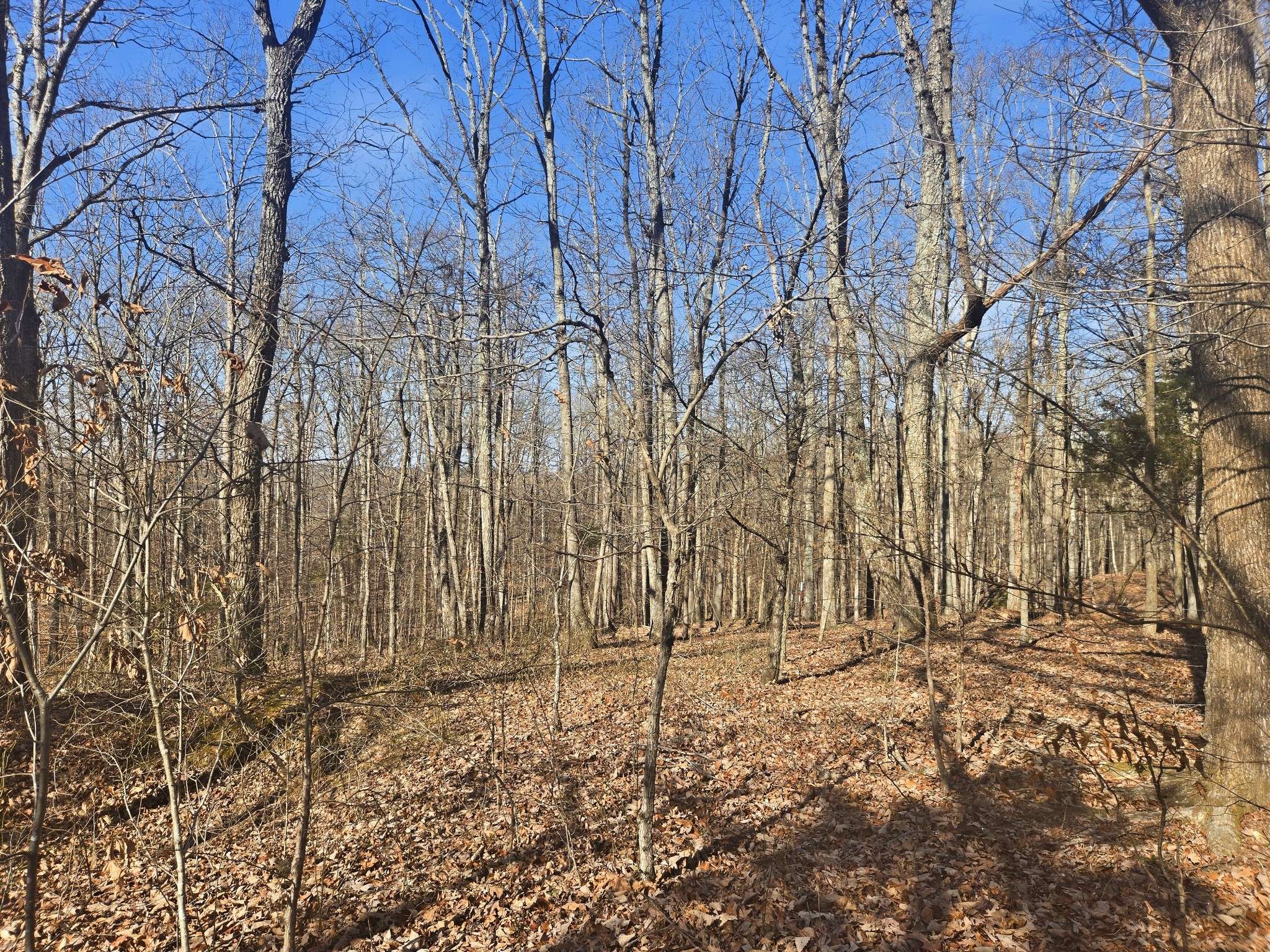 0 Buckeye Road, Cumberland City, TN 37050