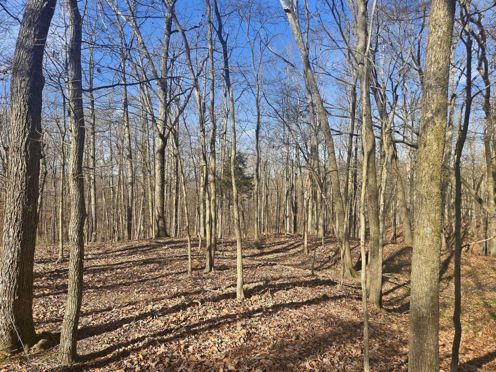 0 Buckeye Road, Cumberland City, TN 37050