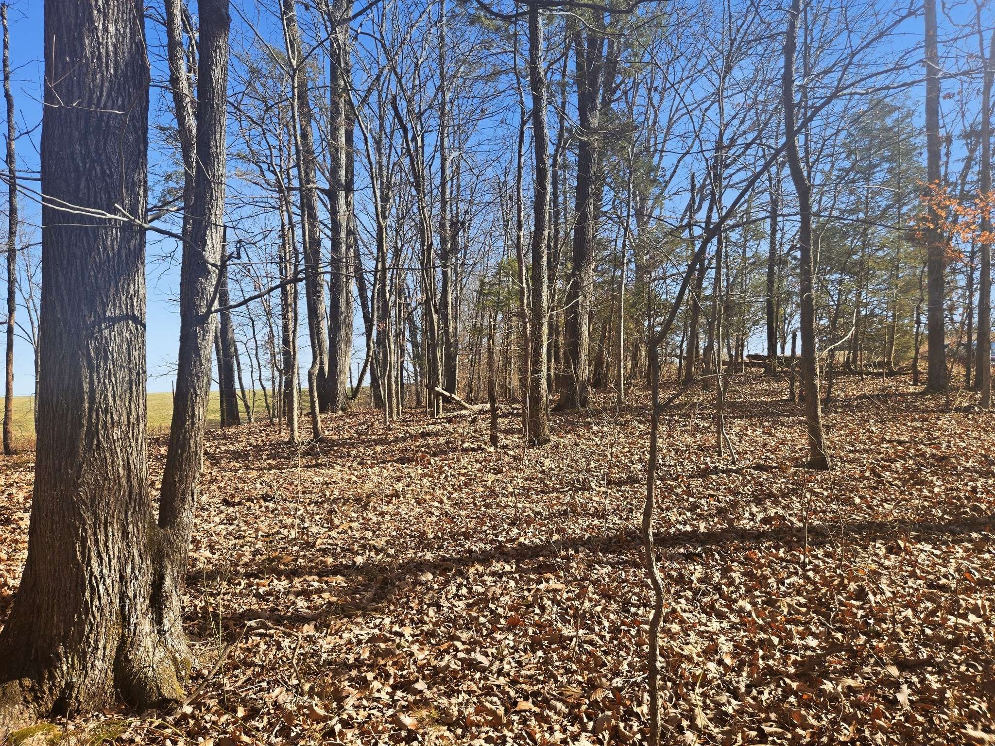 0 Buckeye Road, Cumberland City, TN 37050