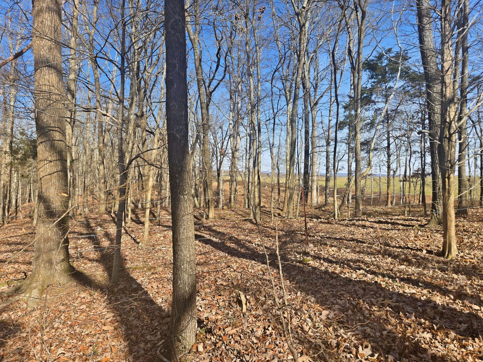 0 Buckeye Road, Cumberland City, TN 37050