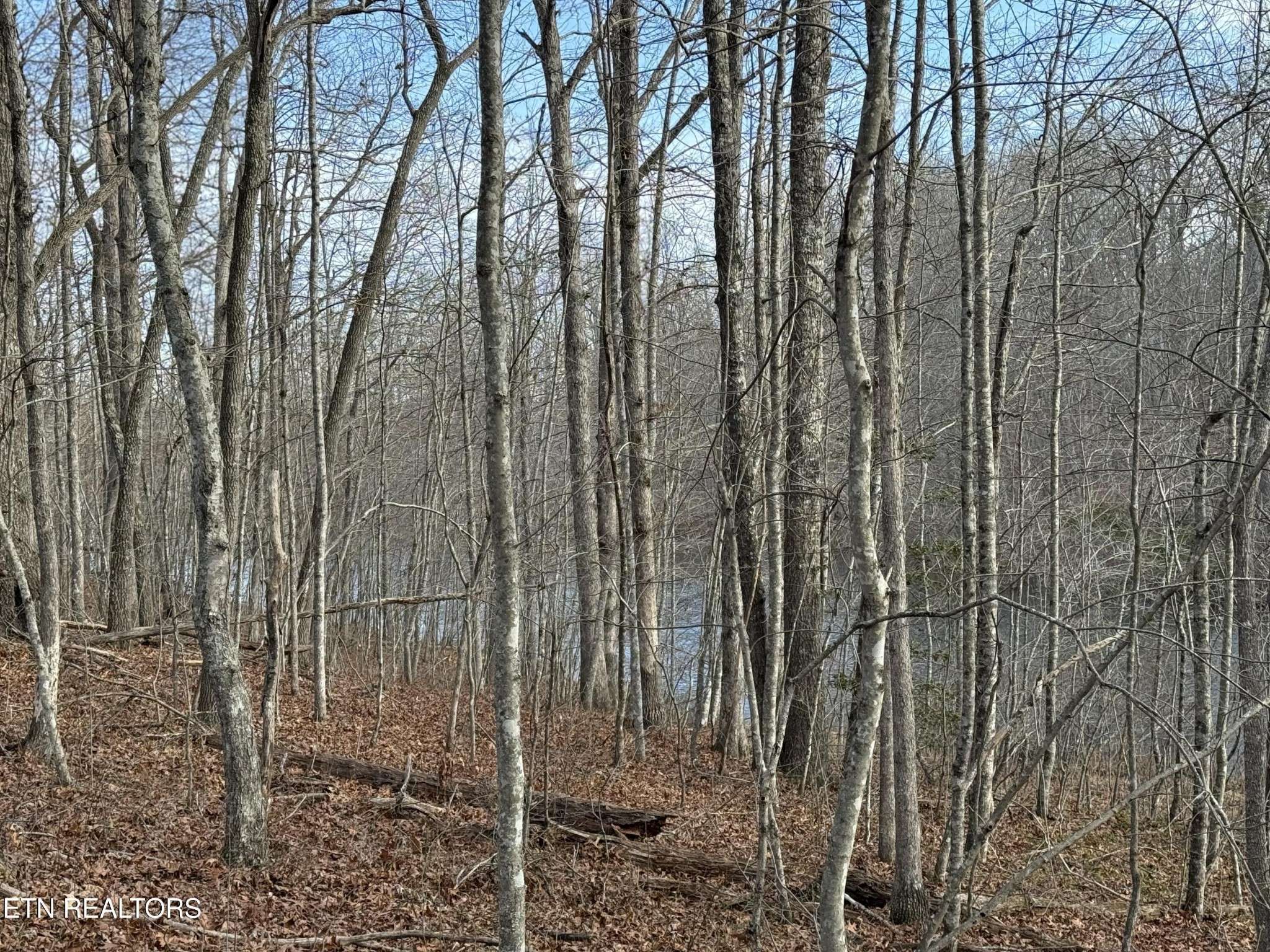 0 Crystal Point, Monterey, TN 38574