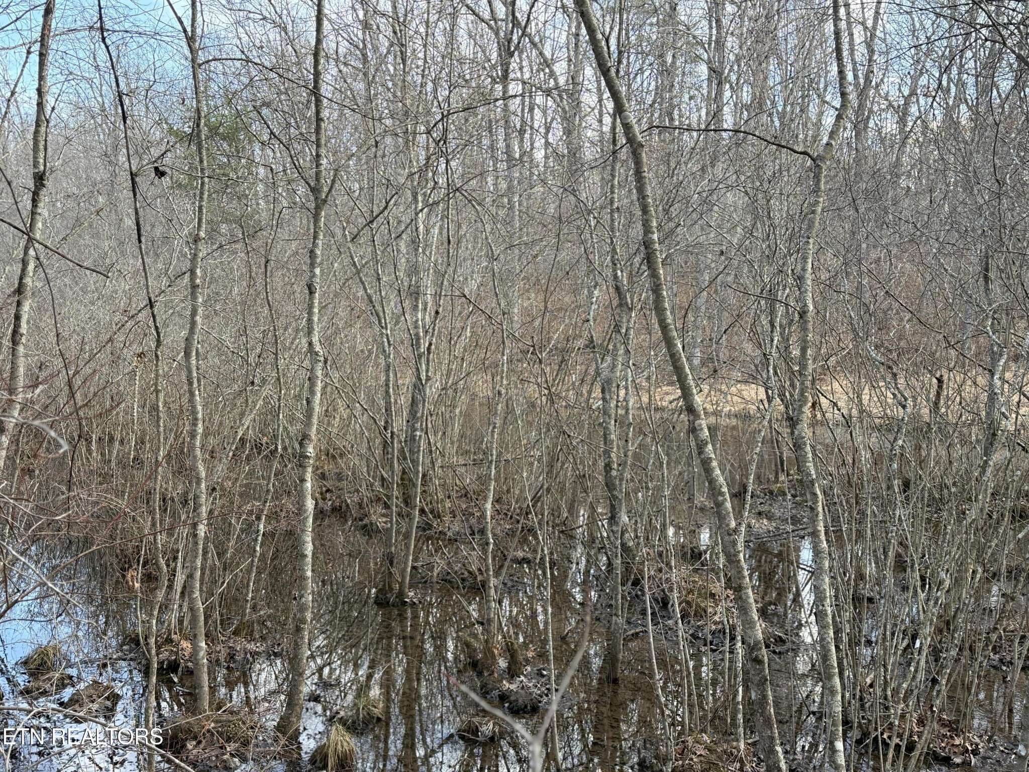 0 Crystal Point, Monterey, TN 38574