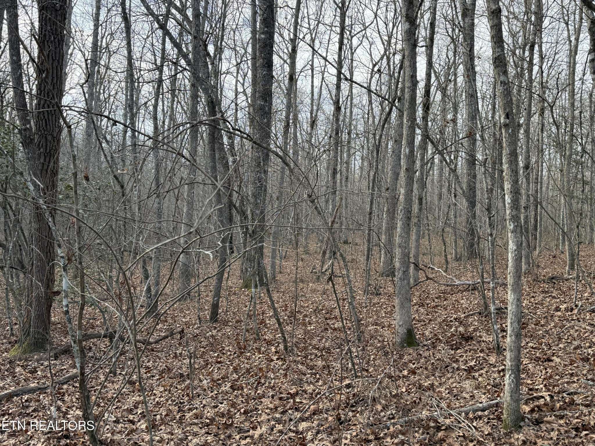 0 Crystal Point, Monterey, TN 38574