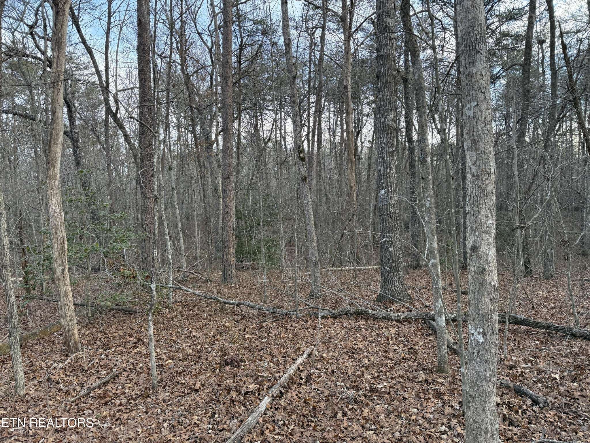 0 Crystal Point, Monterey, TN 38574
