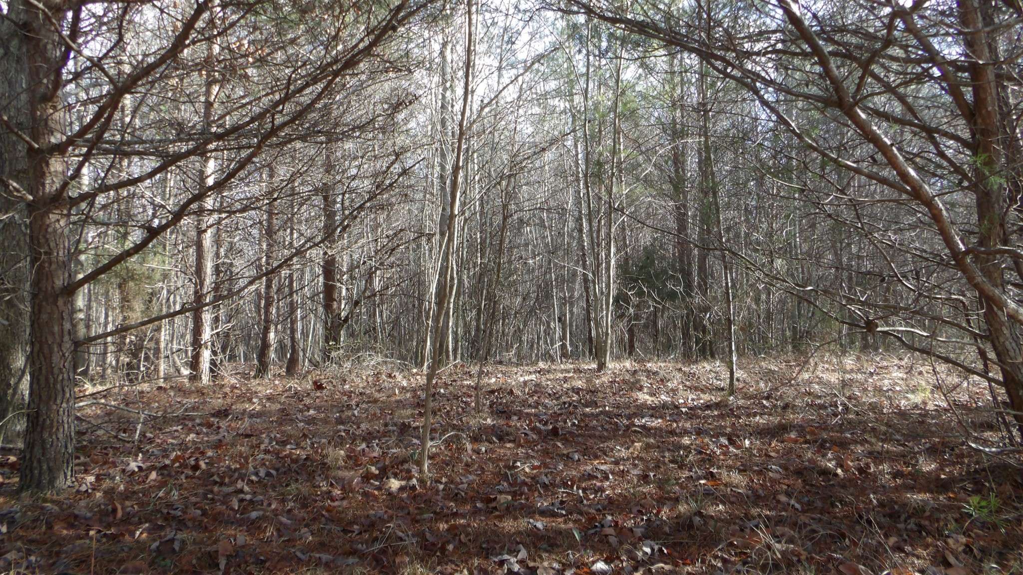 0 Meadow Lane, Spencer, TN 38585