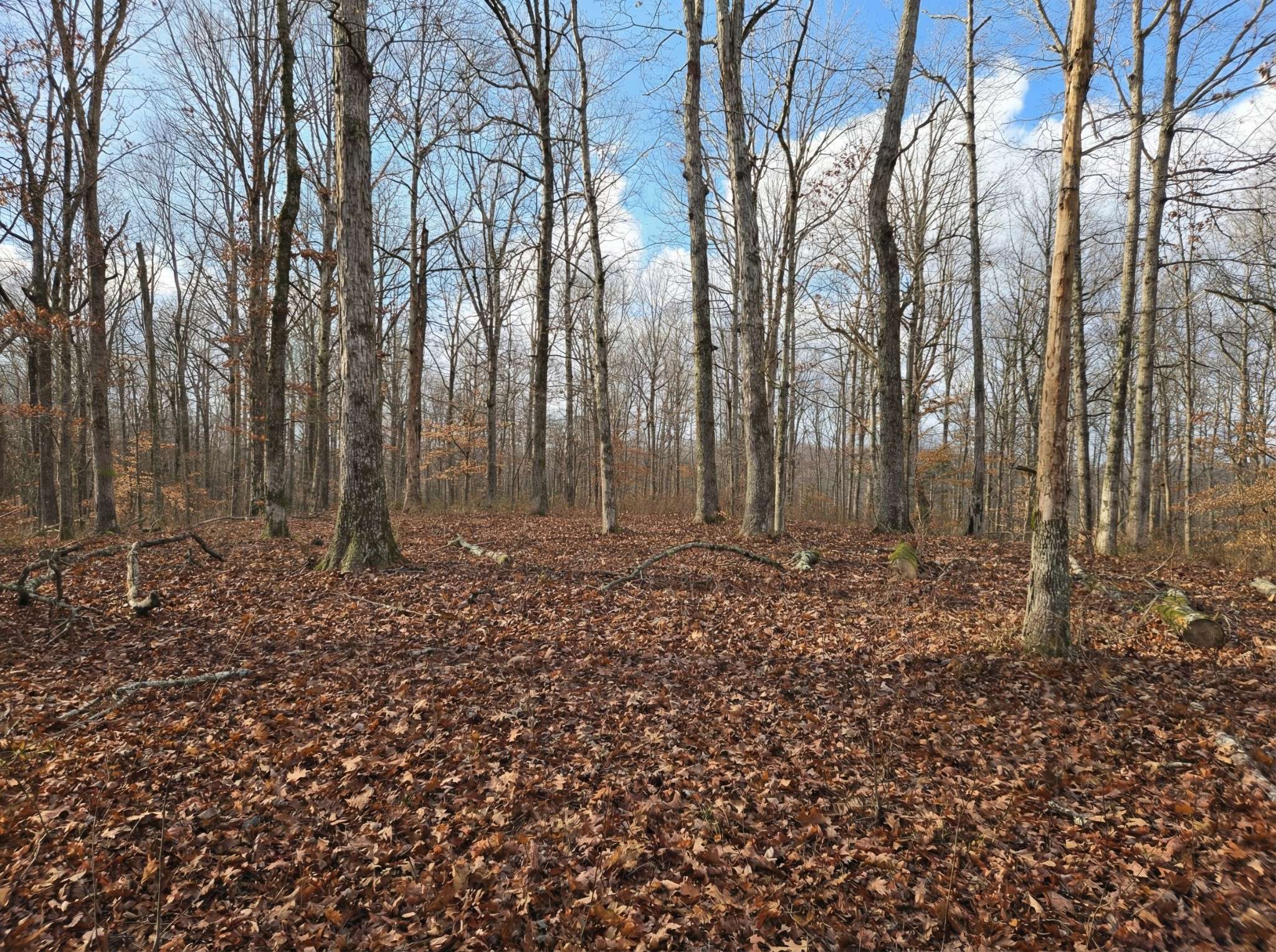 0 Havenwood Rd, Mc Ewen, TN 37101