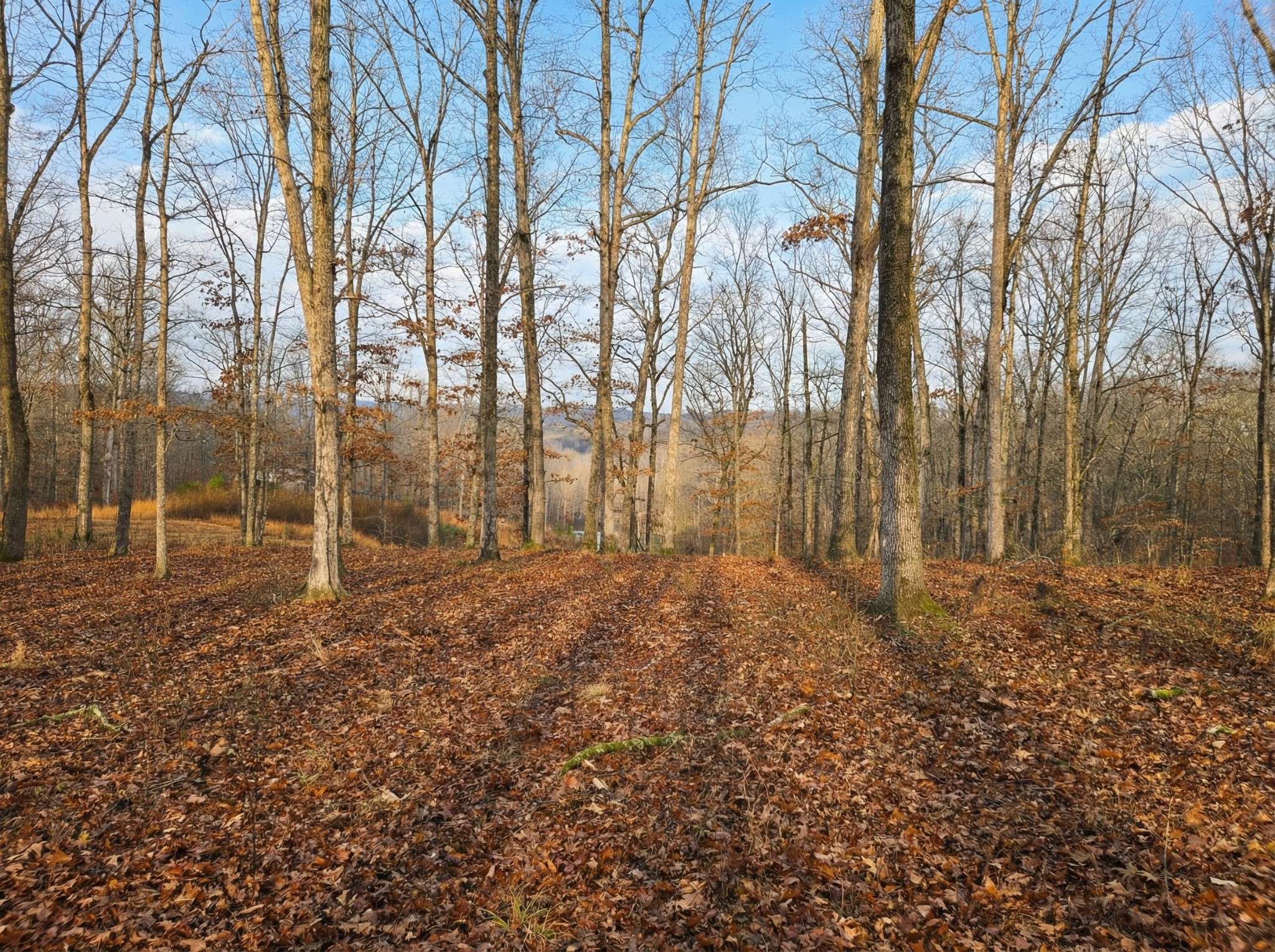 0 Havenwood Rd, Mc Ewen, TN 37101
