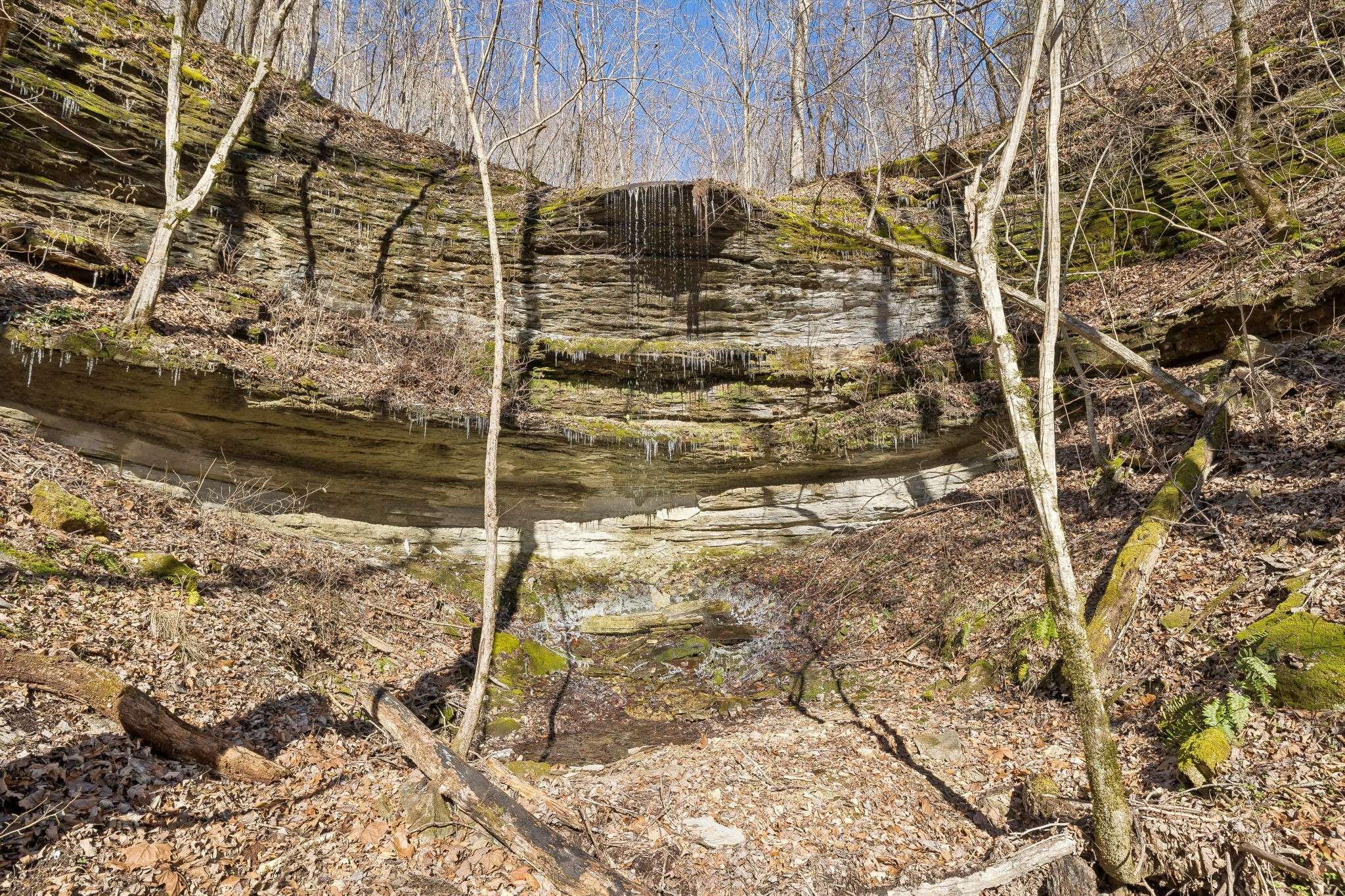 0 Hurricane Creek Road, Linden, TN 37096
