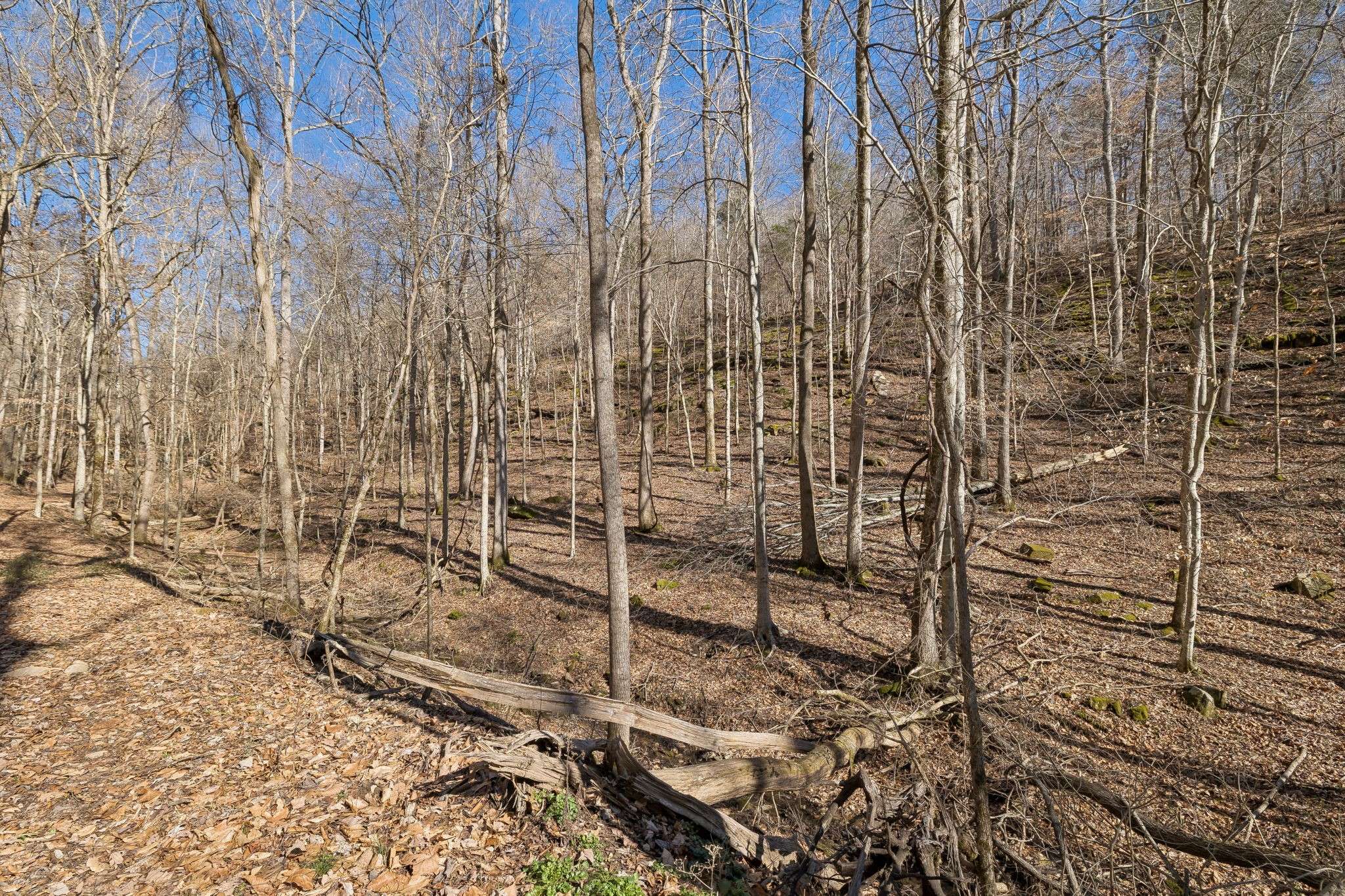0 Hurricane Creek Road, Linden, TN 37096