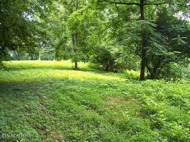 525 Kingwood Street, Kingston, TN 37763