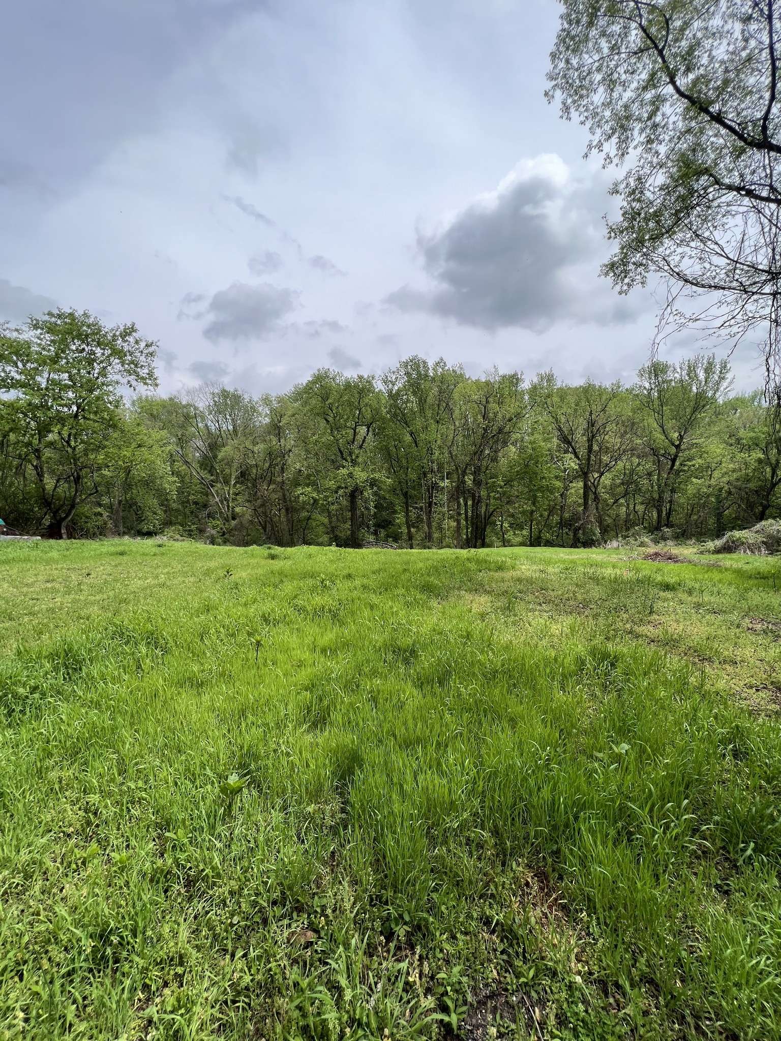0 Bowman St, Carthage, TN 37030