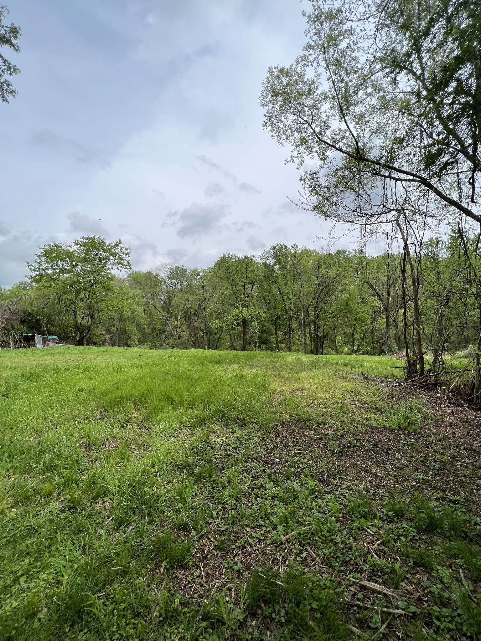 0 Bowman St, Carthage, TN 37030